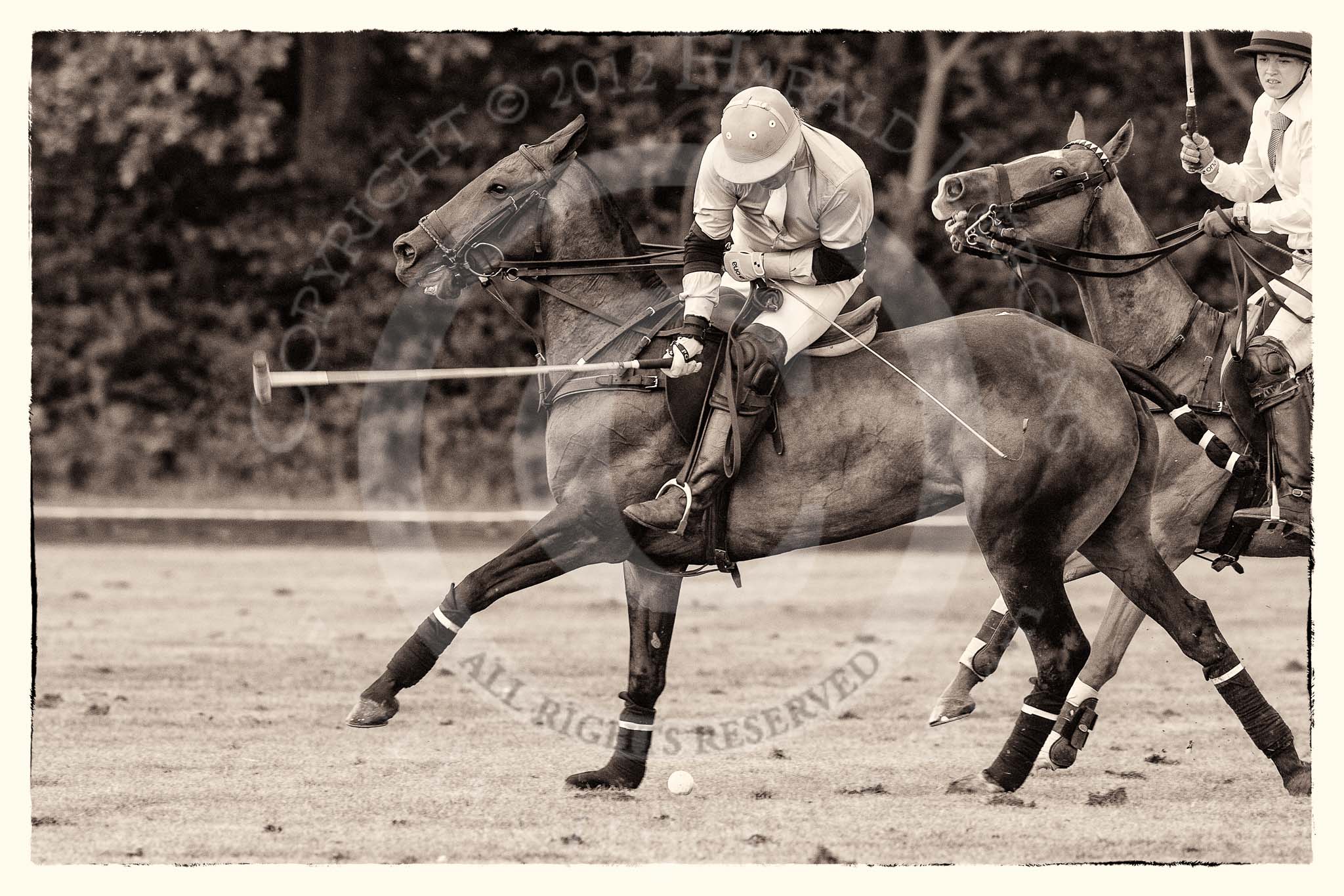 7th Heritage Polo Cup semi-finals: La Mariposa Argentina - Mariano striking a nearside back..
Hurtwood Park Polo Club,
Ewhurst Green,
Surrey,
United Kingdom,
on 04 August 2012 at 15:44, image #269