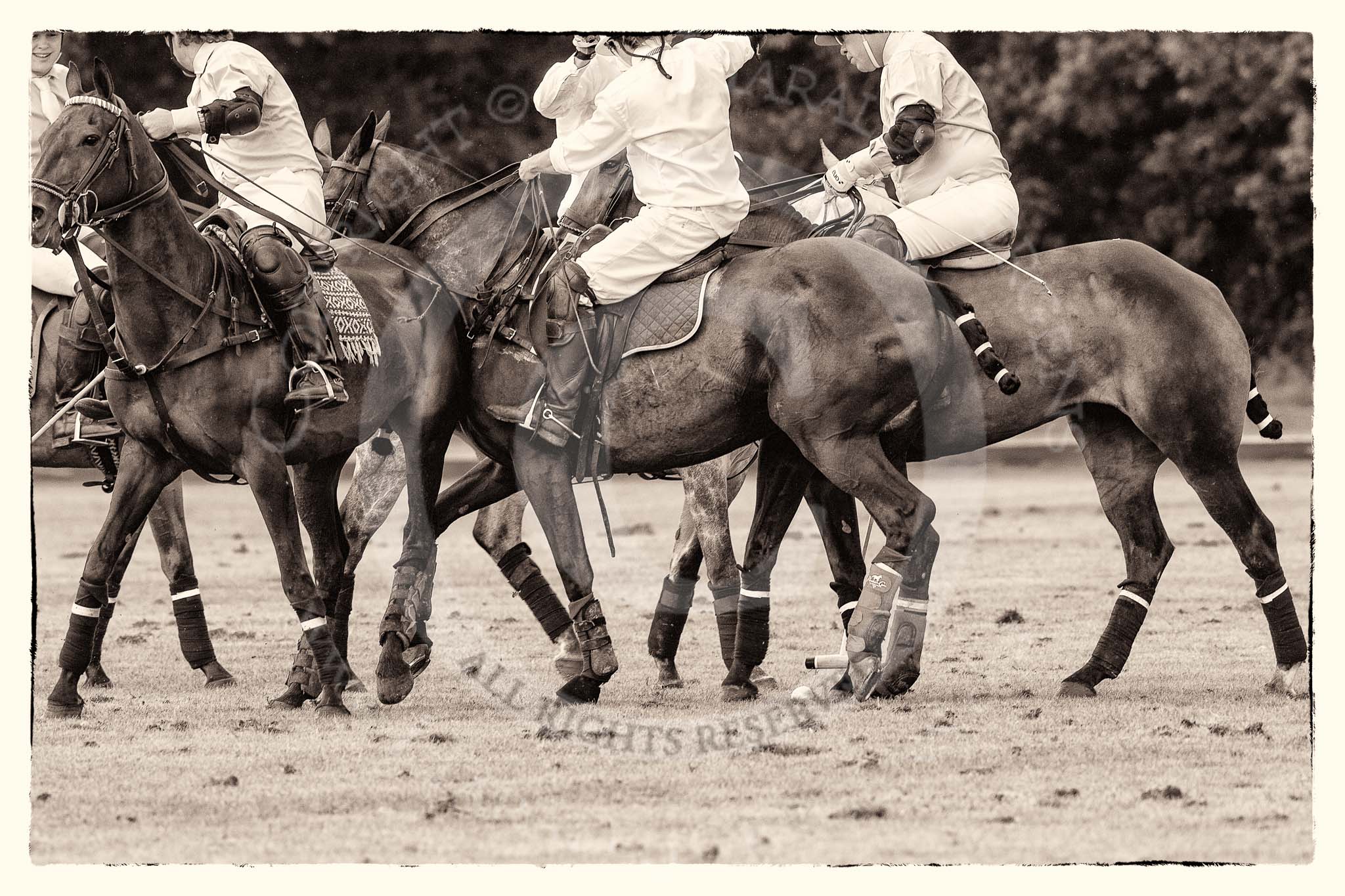 7th Heritage Polo Cup semi-finals: La Mariposa Argentina v La Golondrina Argentina..
Hurtwood Park Polo Club,
Ewhurst Green,
Surrey,
United Kingdom,
on 04 August 2012 at 15:44, image #271