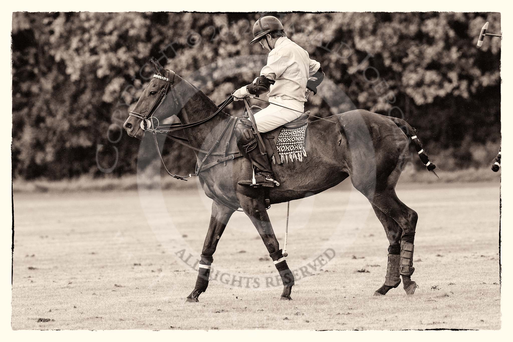 7th Heritage Polo Cup semi-finals: Sebastian Funes..
Hurtwood Park Polo Club,
Ewhurst Green,
Surrey,
United Kingdom,
on 04 August 2012 at 15:44, image #273