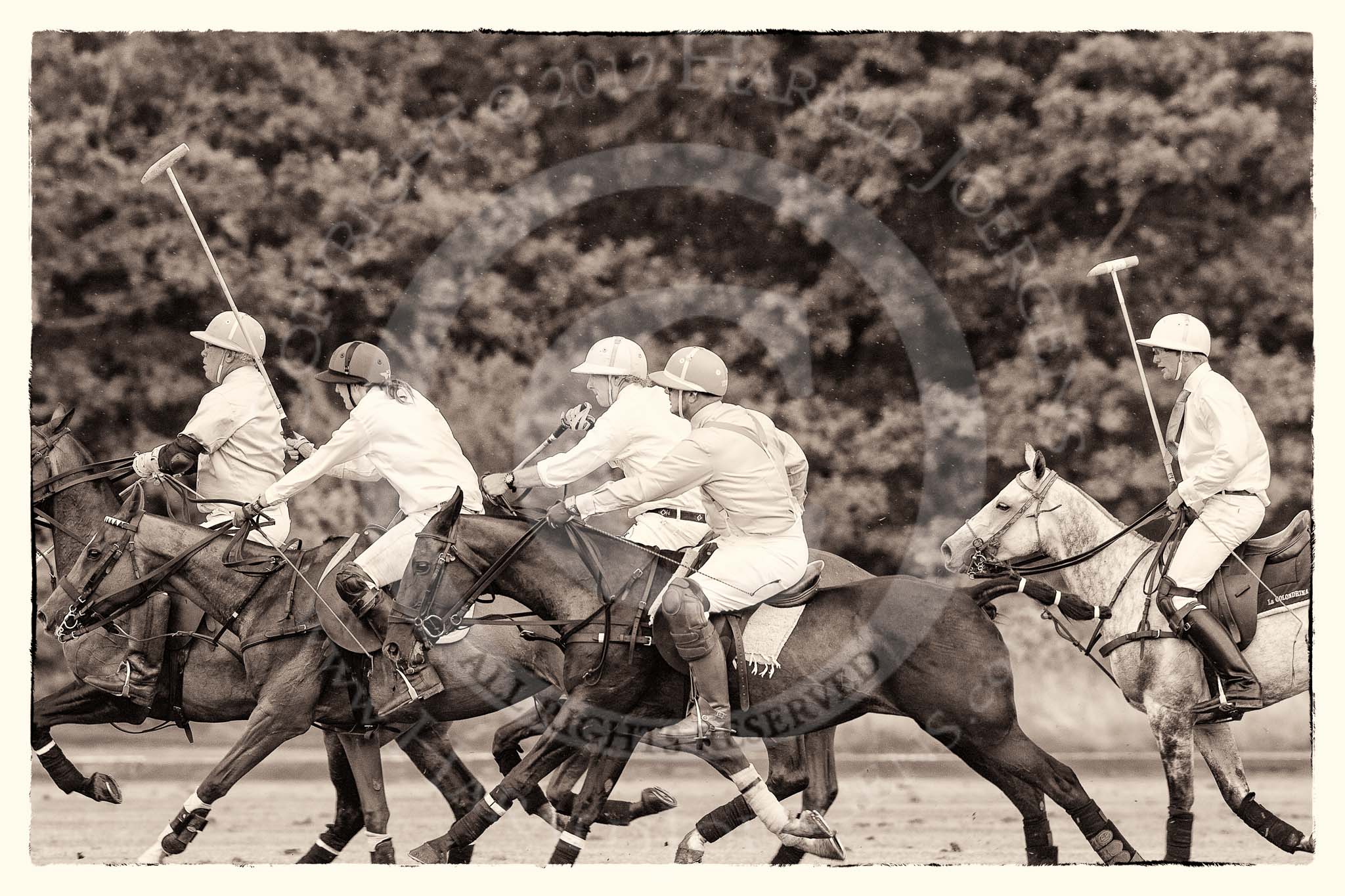 7th Heritage Polo Cup semi-finals: La Mariposa v La Golondrina, Timothy Rose riding forward..
Hurtwood Park Polo Club,
Ewhurst Green,
Surrey,
United Kingdom,
on 04 August 2012 at 15:46, image #277