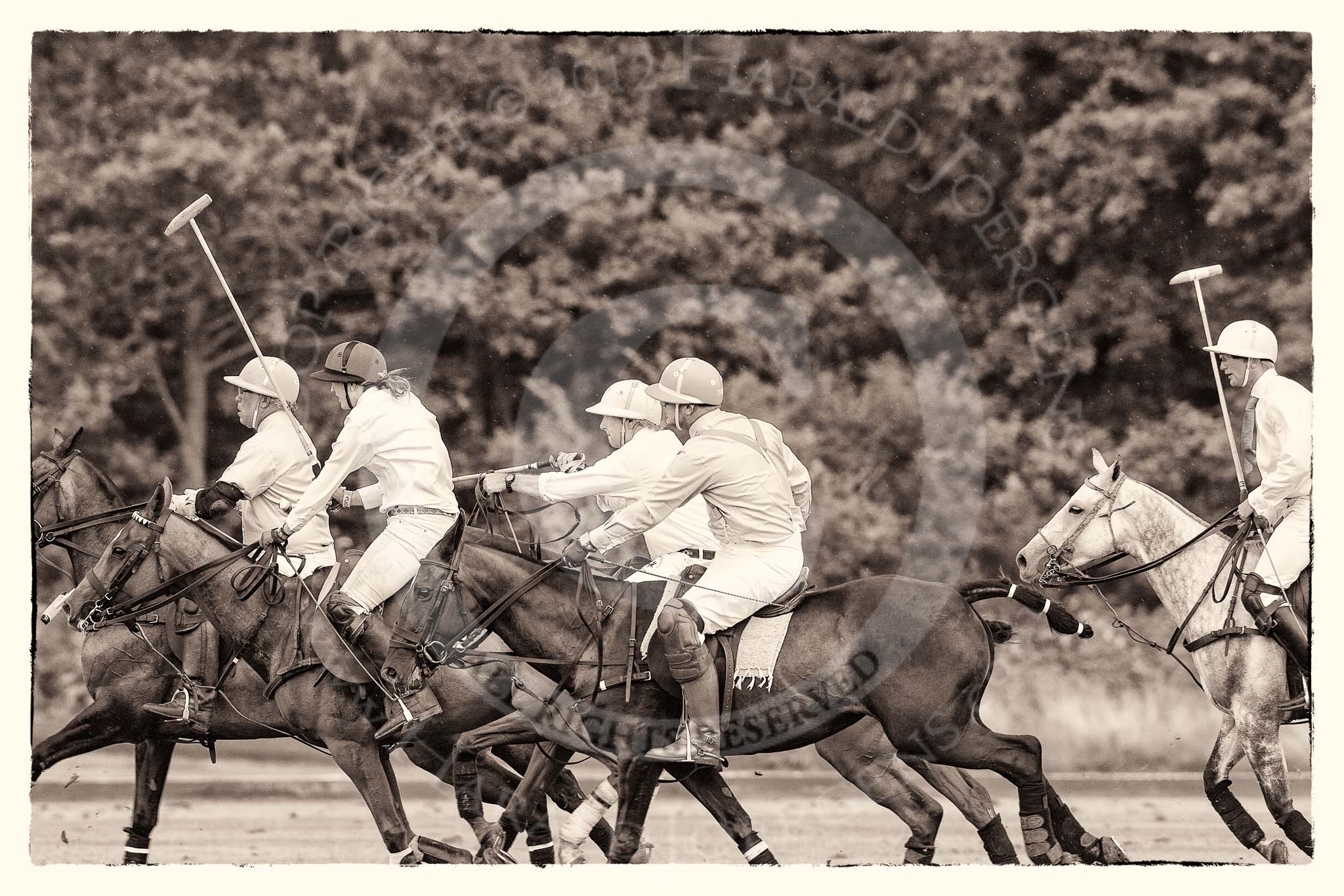 7th Heritage Polo Cup semi-finals: La Mariposa v La Golondrina, Timothy Rose riding forward..
Hurtwood Park Polo Club,
Ewhurst Green,
Surrey,
United Kingdom,
on 04 August 2012 at 15:46, image #278