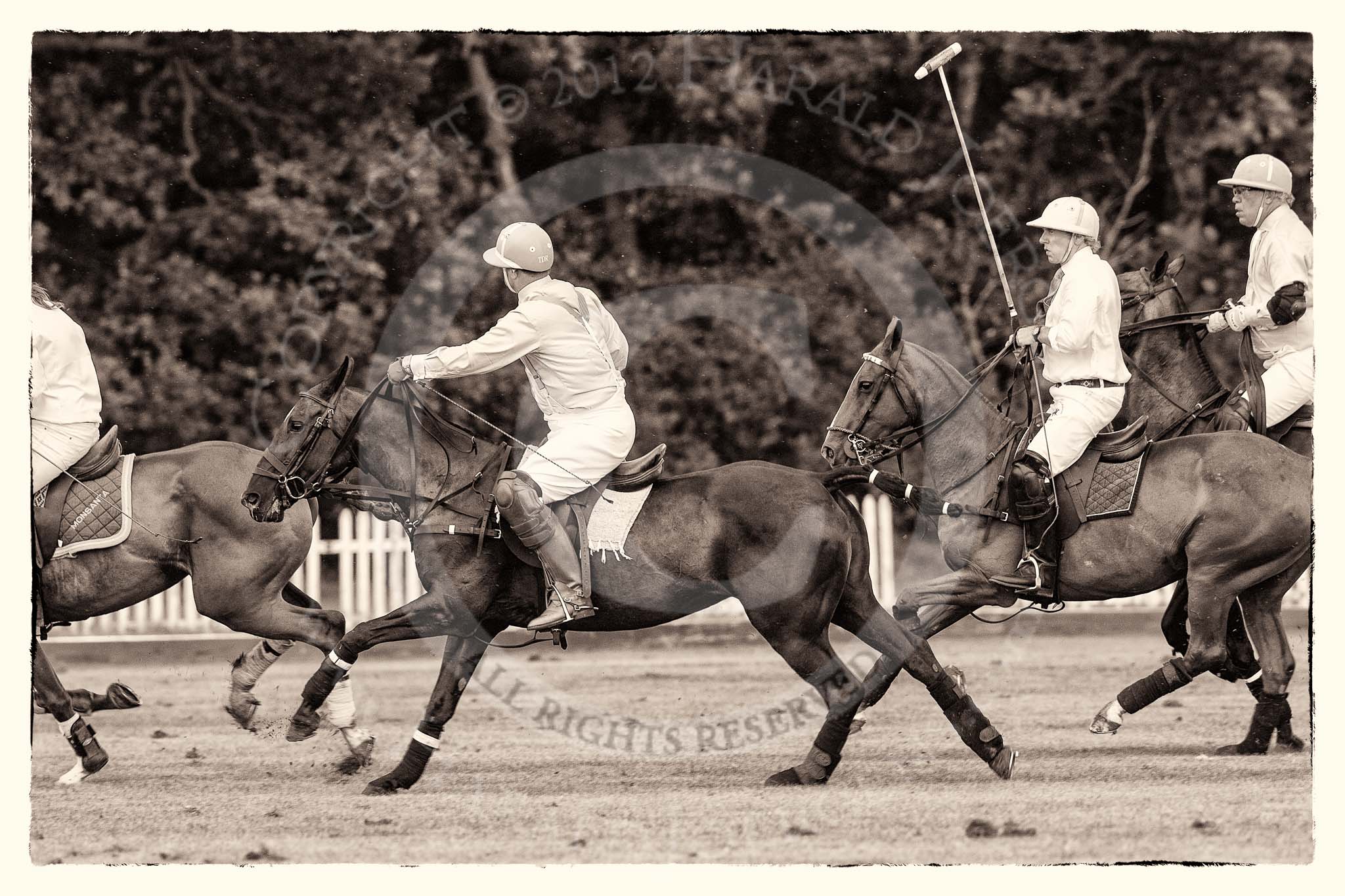 7th Heritage Polo Cup semi-finals: La Mariposa v La Golondrina, Timothy Rose riding forward..
Hurtwood Park Polo Club,
Ewhurst Green,
Surrey,
United Kingdom,
on 04 August 2012 at 15:46, image #279