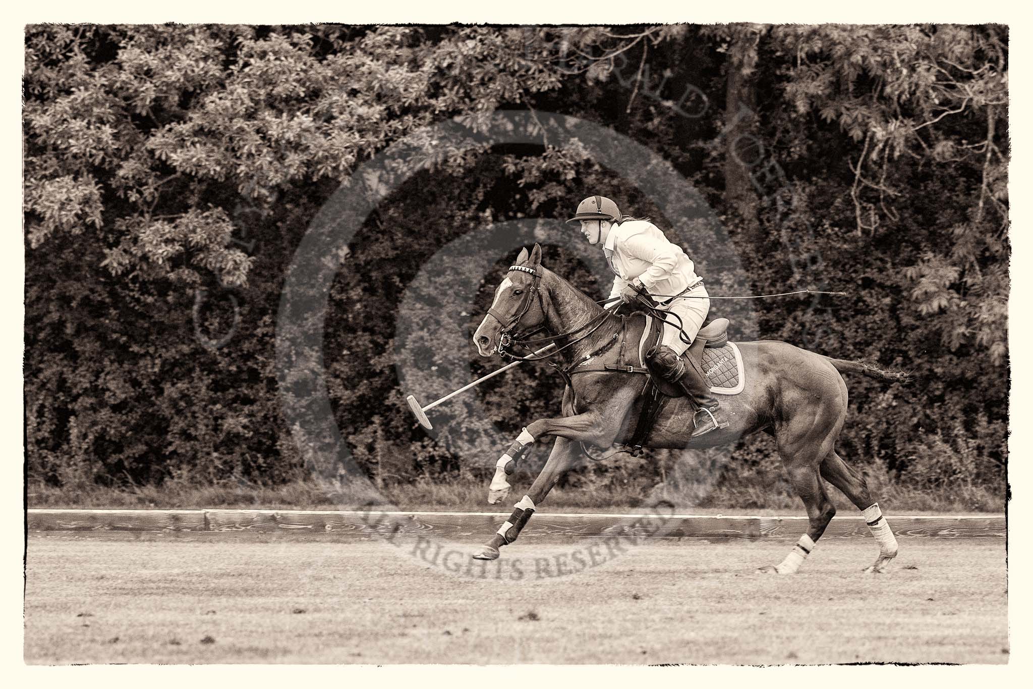 7th Heritage Polo Cup semi-finals: La Golondrina Argentina Brownie Taylor (0) GB..
Hurtwood Park Polo Club,
Ewhurst Green,
Surrey,
United Kingdom,
on 04 August 2012 at 15:50, image #287