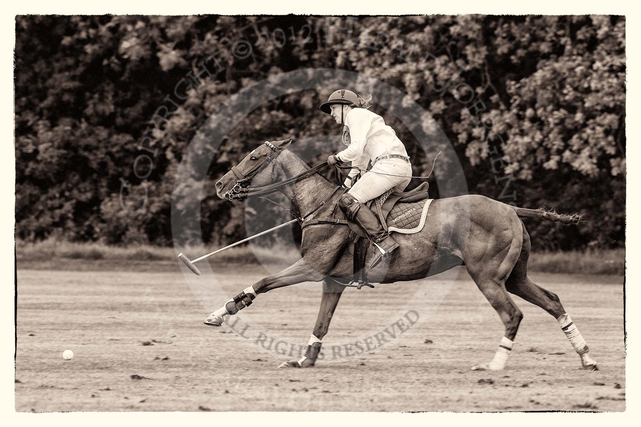 7th Heritage Polo Cup semi-finals: La Golondrina Brownie Taylor (0) GB..
Hurtwood Park Polo Club,
Ewhurst Green,
Surrey,
United Kingdom,
on 04 August 2012 at 15:50, image #290