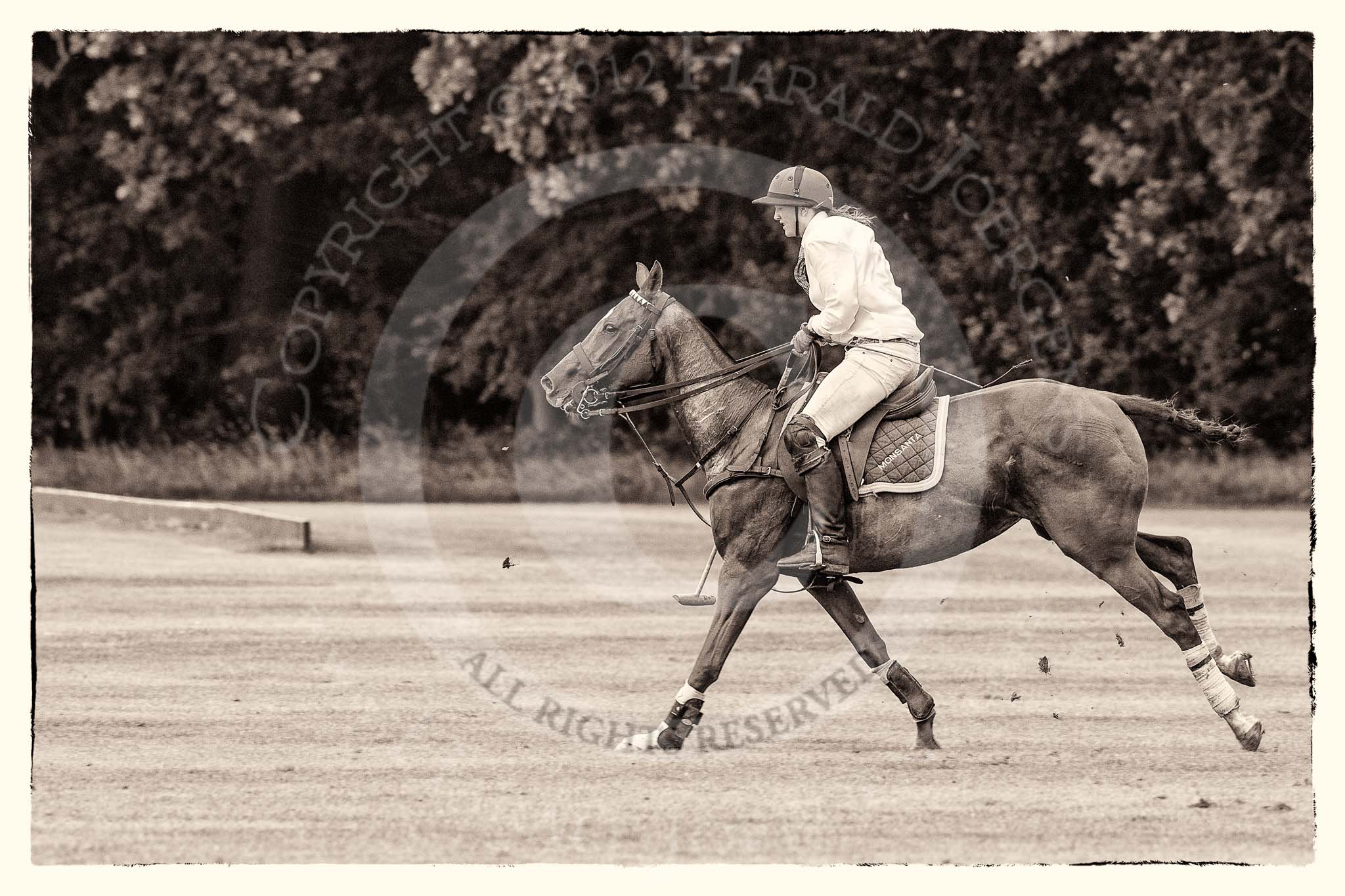 7th Heritage Polo Cup semi-finals: La Golondrina Brownie Taylor (0) GB..
Hurtwood Park Polo Club,
Ewhurst Green,
Surrey,
United Kingdom,
on 04 August 2012 at 15:50, image #291