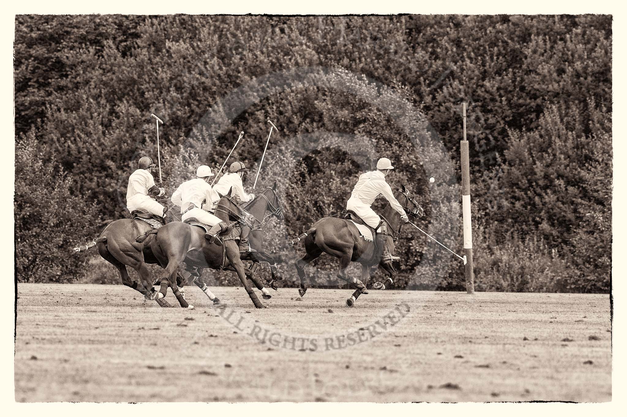 7th Heritage Polo Cup semi-finals: La Mariposa Argentina Timothy Rose following the ball with Brownie Taylor on his side..
Hurtwood Park Polo Club,
Ewhurst Green,
Surrey,
United Kingdom,
on 04 August 2012 at 15:53, image #294