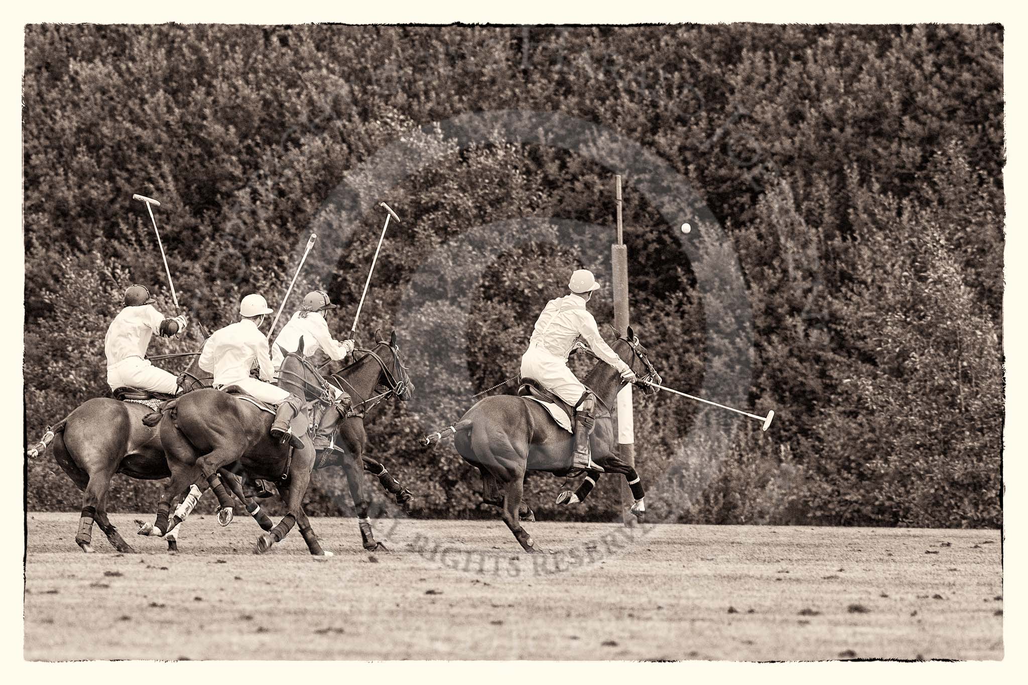 7th Heritage Polo Cup semi-finals: La Mariposa Argentina Timothy Rose following the ball with Brownie Taylor on his side..
Hurtwood Park Polo Club,
Ewhurst Green,
Surrey,
United Kingdom,
on 04 August 2012 at 15:53, image #295