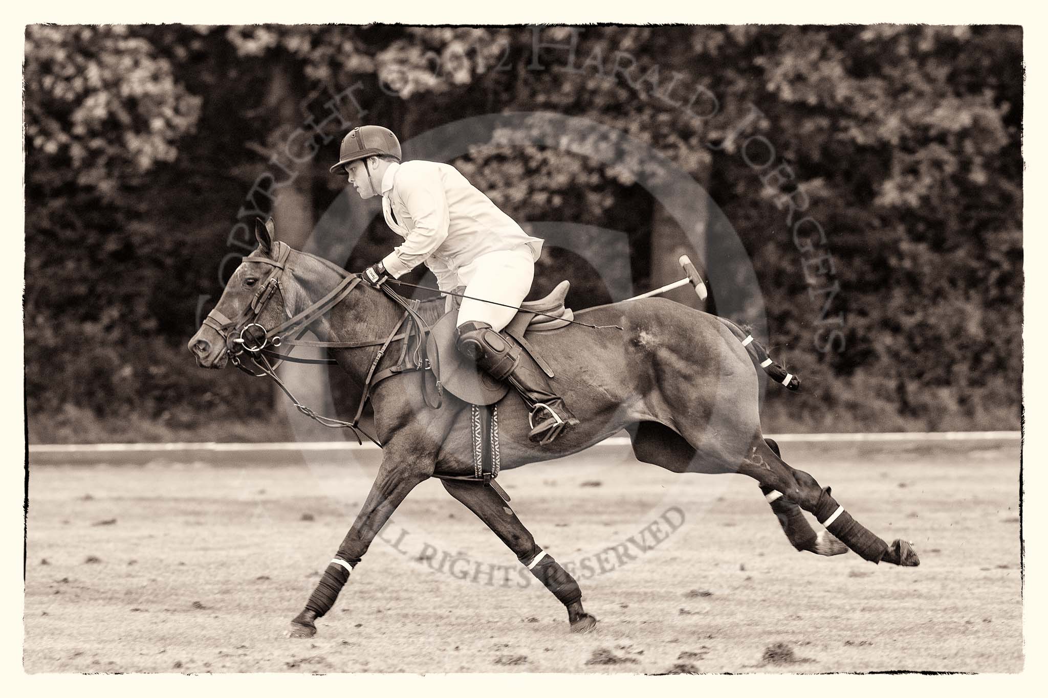 7th Heritage Polo Cup semi-finals: La Mariposa Argentina Sebastian Funes alone on the run..
Hurtwood Park Polo Club,
Ewhurst Green,
Surrey,
United Kingdom,
on 04 August 2012 at 15:55, image #296