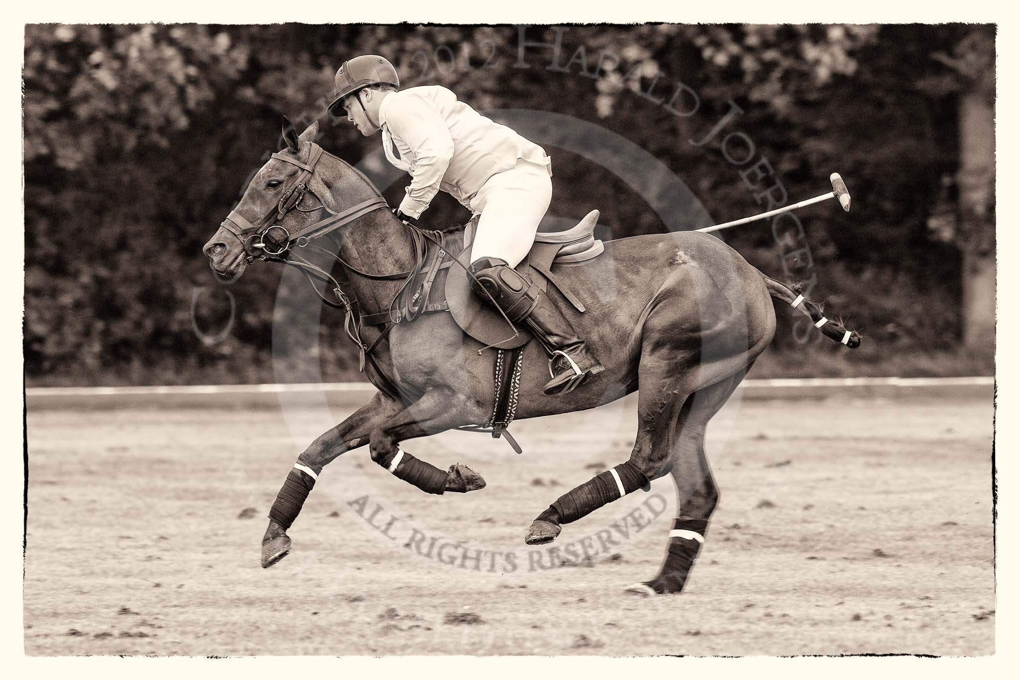 7th Heritage Polo Cup semi-finals: La Mariposa Argentina Sebastian Funes alone on the run..
Hurtwood Park Polo Club,
Ewhurst Green,
Surrey,
United Kingdom,
on 04 August 2012 at 15:55, image #297