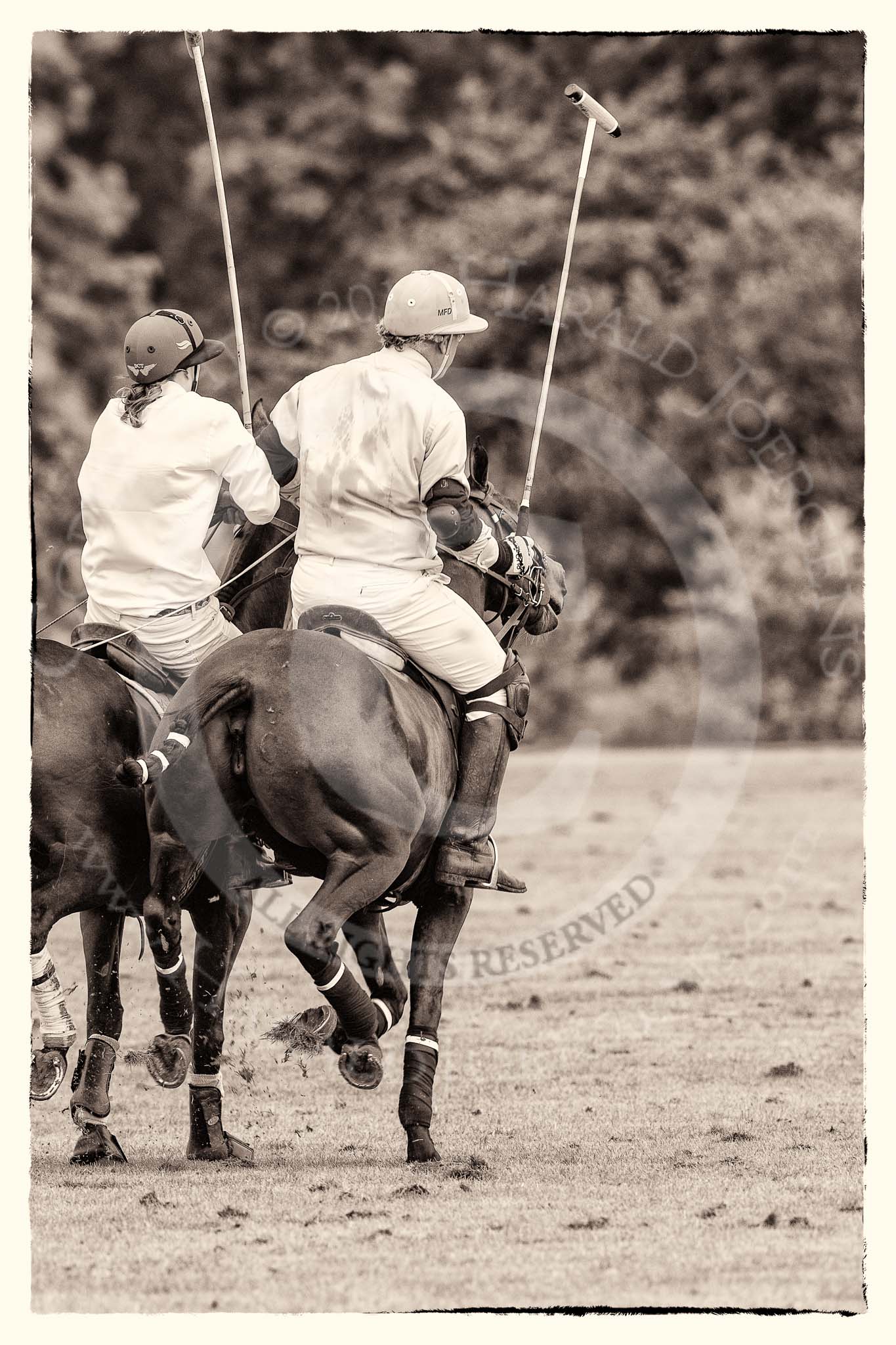 7th Heritage Polo Cup semi-finals: Brownie Taylor taking on Mariano Darritchon..
Hurtwood Park Polo Club,
Ewhurst Green,
Surrey,
United Kingdom,
on 04 August 2012 at 15:55, image #299