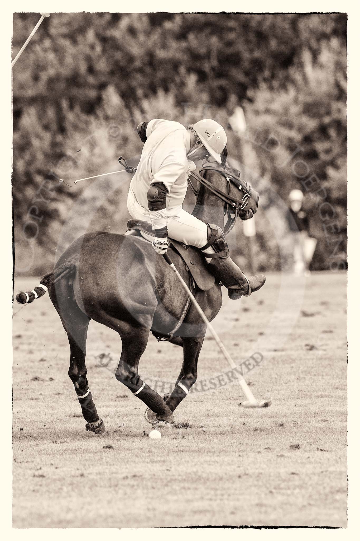 7th Heritage Polo Cup semi-finals: Mariano Darritchon stopping on the ball..
Hurtwood Park Polo Club,
Ewhurst Green,
Surrey,
United Kingdom,
on 04 August 2012 at 15:55, image #300