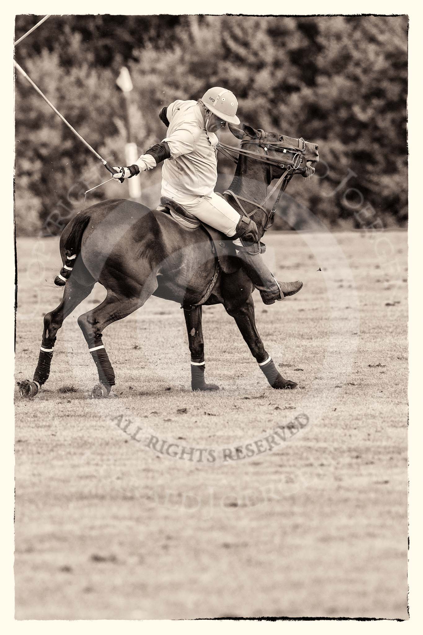 7th Heritage Polo Cup semi-finals: Mariano Darritchon with a back stroke..
Hurtwood Park Polo Club,
Ewhurst Green,
Surrey,
United Kingdom,
on 04 August 2012 at 15:55, image #301