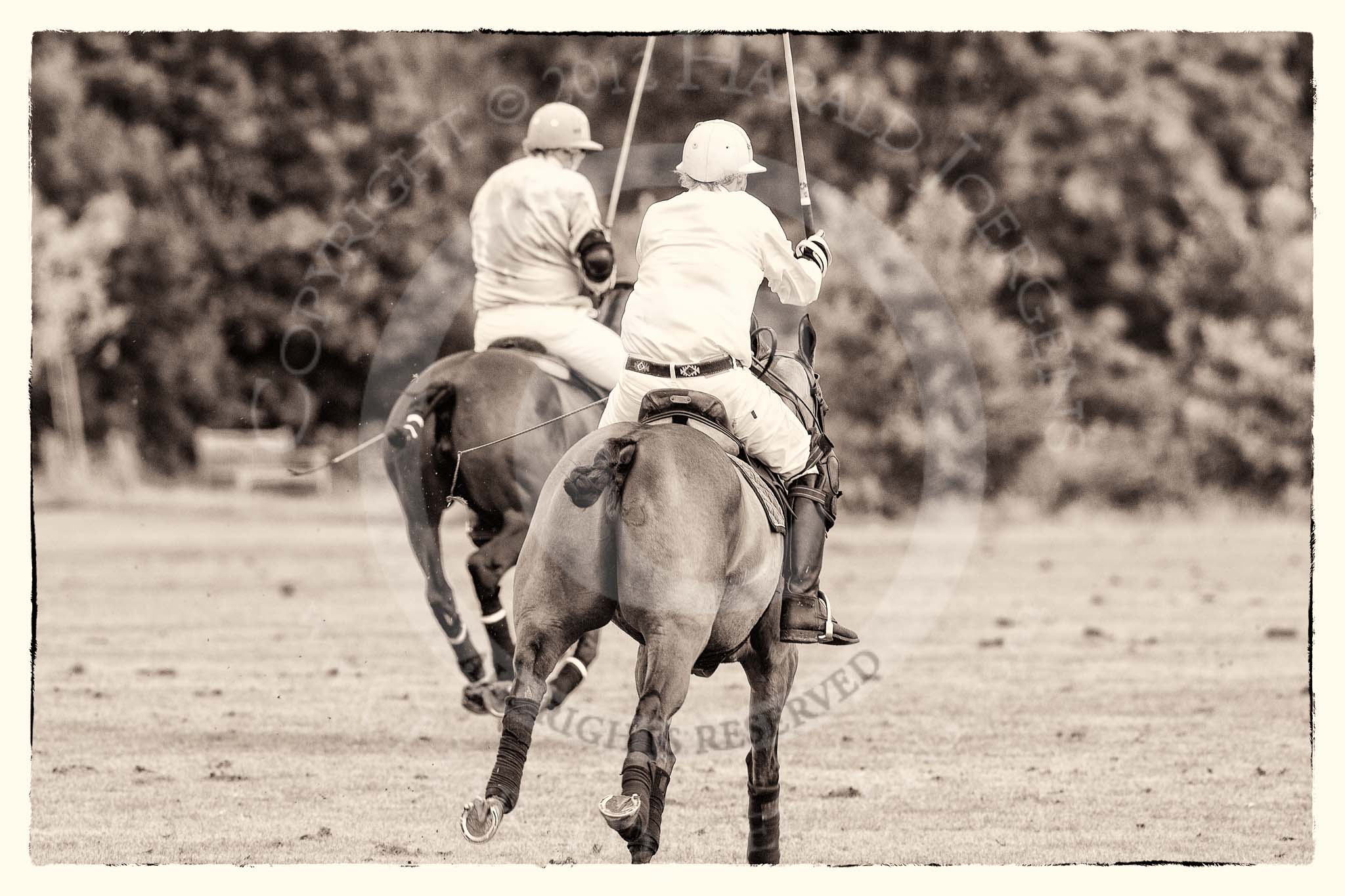 7th Heritage Polo Cup semi-finals: Mariano Darritchon v Paul Oberschneider..
Hurtwood Park Polo Club,
Ewhurst Green,
Surrey,
United Kingdom,
on 04 August 2012 at 16:01, image #309