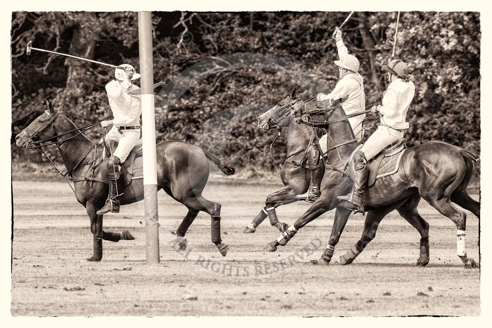 7th Heritage Polo Cup semi-finals: La Golondrian Argentina..
Hurtwood Park Polo Club,
Ewhurst Green,
Surrey,
United Kingdom,
on 04 August 2012 at 16:12, image #314