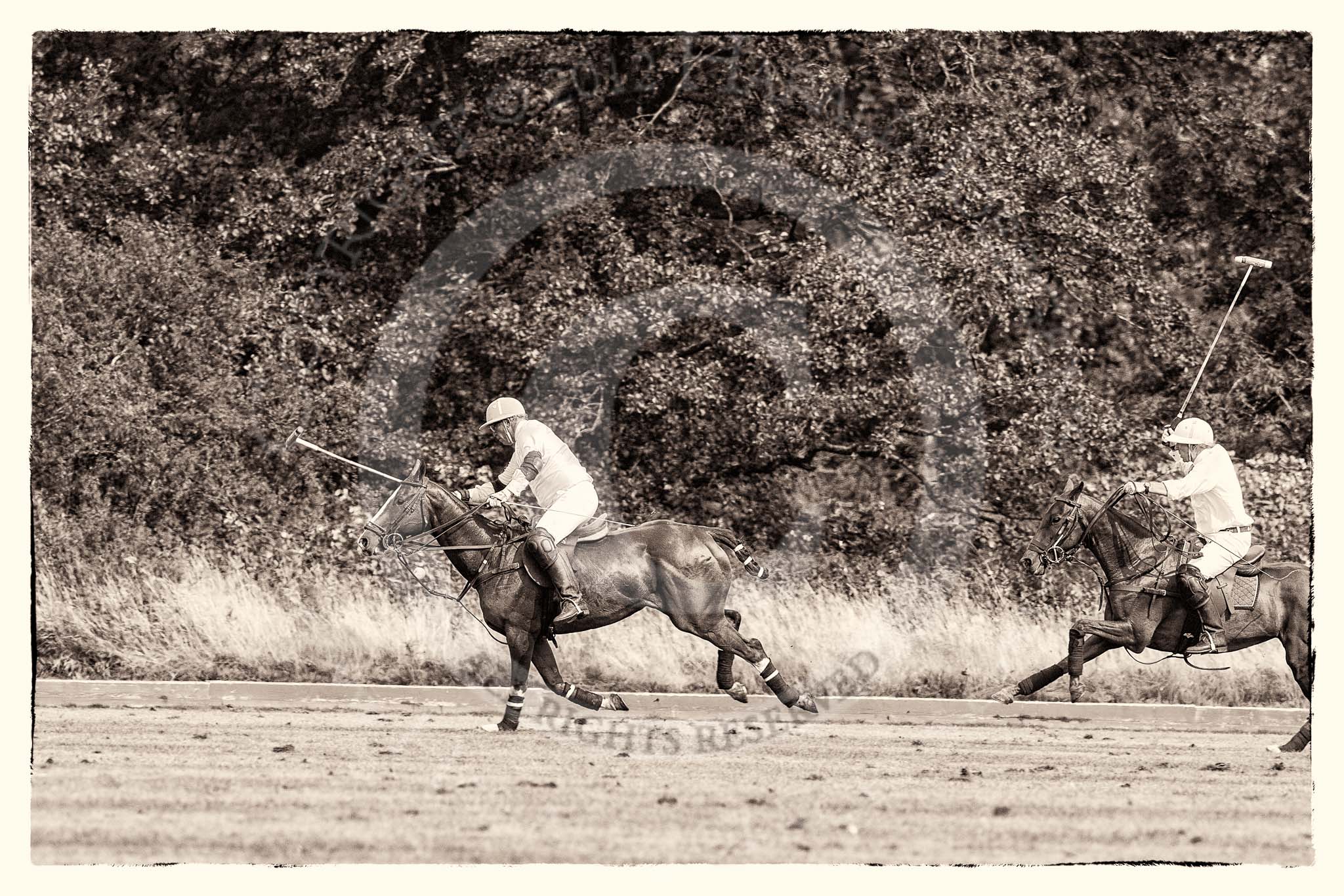 7th Heritage Polo Cup semi-finals: Mariano Darritchon braking away followed by Paul Oberschneider..
Hurtwood Park Polo Club,
Ewhurst Green,
Surrey,
United Kingdom,
on 04 August 2012 at 16:17, image #324