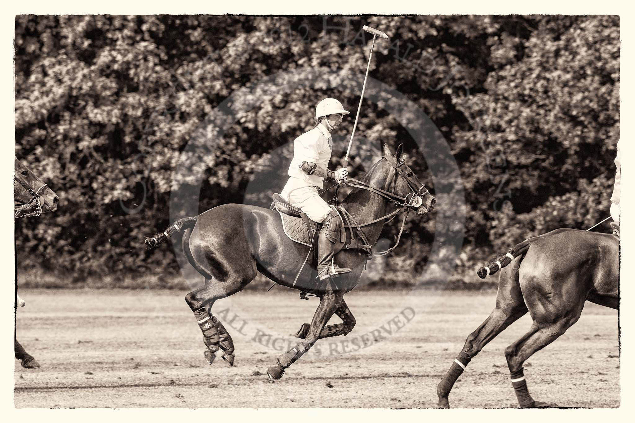 7th Heritage Polo Cup semi-finals: La Golondrina Argentina Pepe Riglos (6)..
Hurtwood Park Polo Club,
Ewhurst Green,
Surrey,
United Kingdom,
on 04 August 2012 at 16:49, image #331