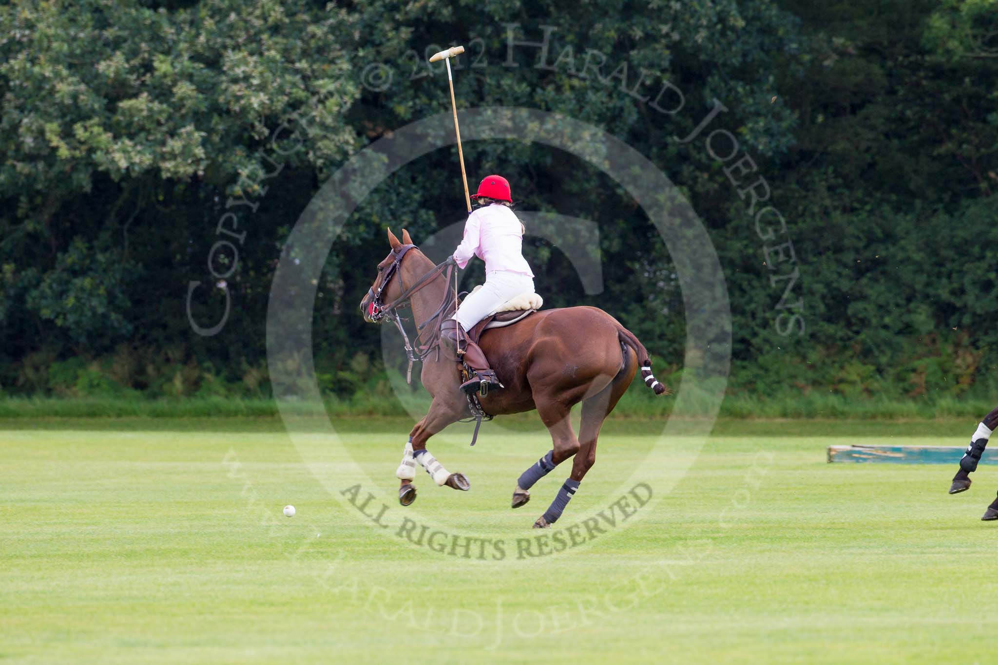 7th Heritage Polo Cup semi-finals: Clare Payne, Team Emerging Switzerland..
Hurtwood Park Polo Club,
Ewhurst Green,
Surrey,
United Kingdom,
on 04 August 2012 at 11:09, image #14