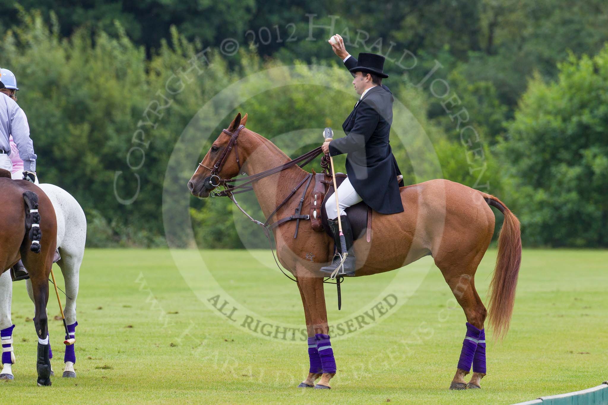 7th Heritage Polo Cup semi-finals: Umpire Gaston Devrient throwing in the ball..
Hurtwood Park Polo Club,
Ewhurst Green,
Surrey,
United Kingdom,
on 04 August 2012 at 11:32, image #48