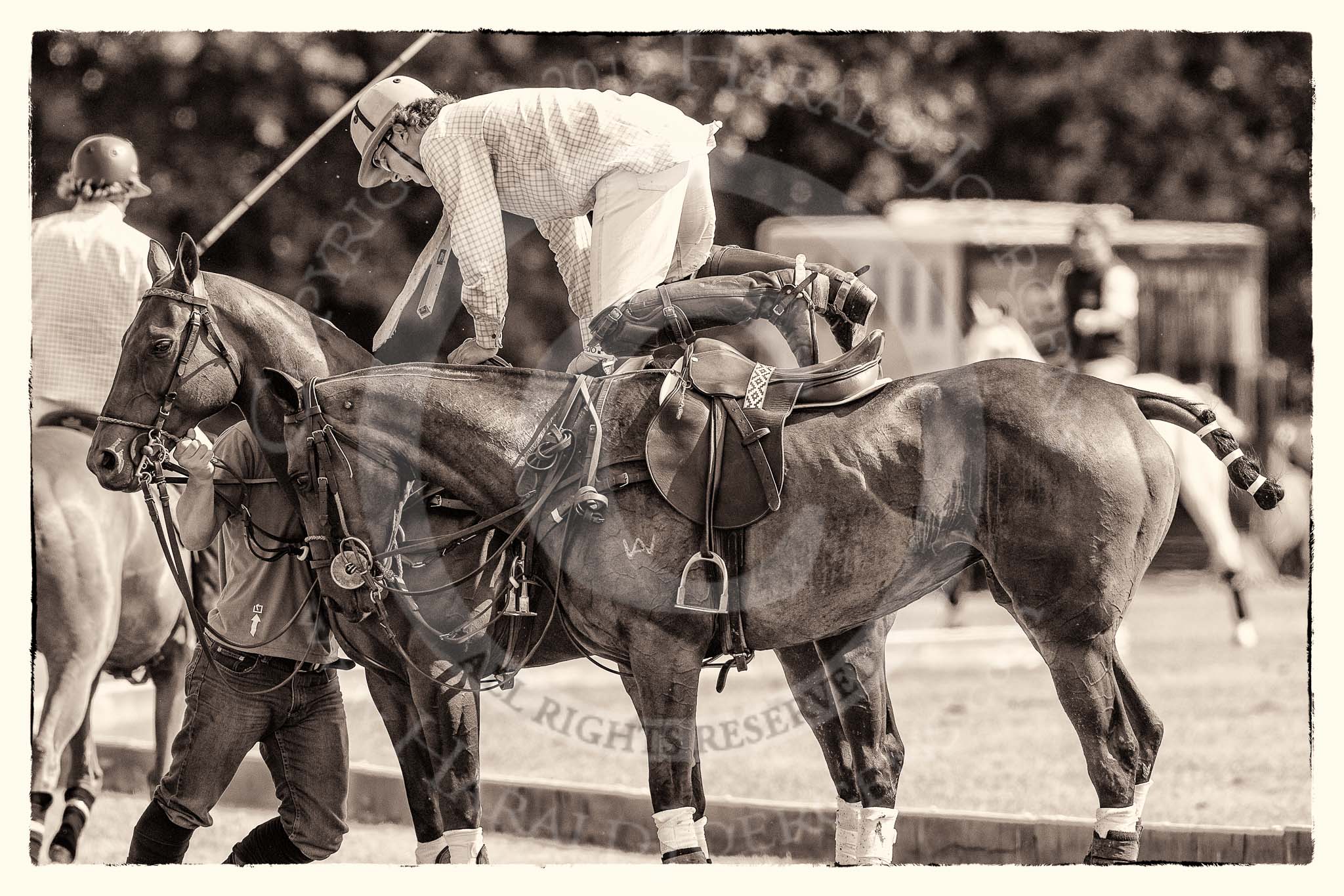 7th Heritage Polo Cup finals: Nico Talamoni changing ponies..
Hurtwood Park Polo Club,
Ewhurst Green,
Surrey,
United Kingdom,
on 05 August 2012 at 15:38, image #183