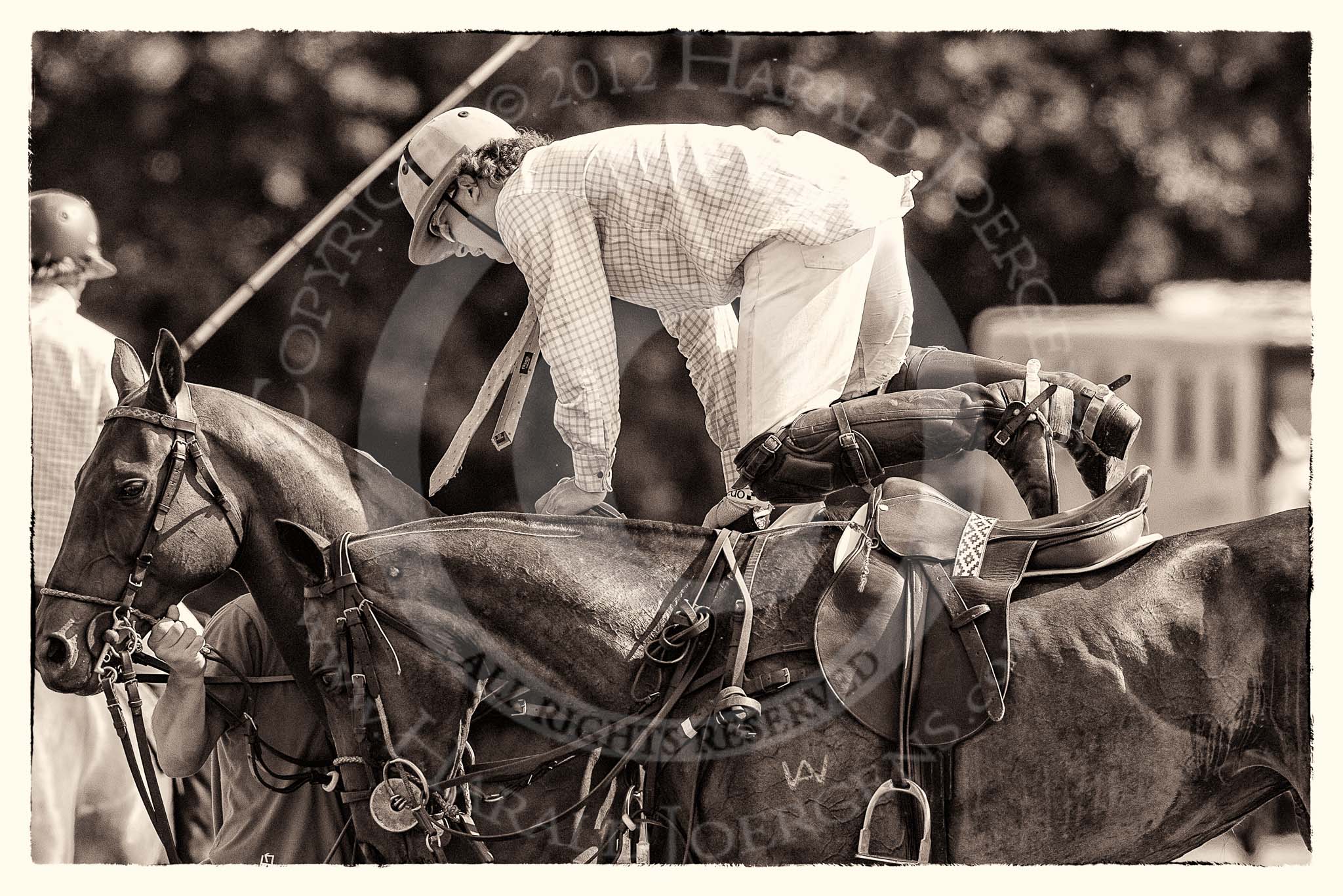 7th Heritage Polo Cup finals: Nico Talamoni changing ponies..
Hurtwood Park Polo Club,
Ewhurst Green,
Surrey,
United Kingdom,
on 05 August 2012 at 15:38, image #184