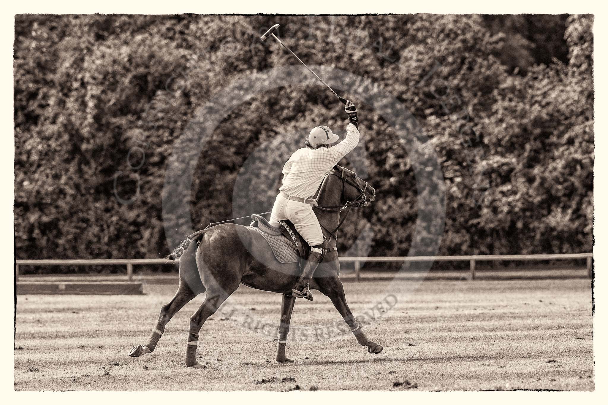 7th Heritage Polo Cup finals: Justo Saveedra, Team Emerging Switzerland..
Hurtwood Park Polo Club,
Ewhurst Green,
Surrey,
United Kingdom,
on 05 August 2012 at 15:43, image #189