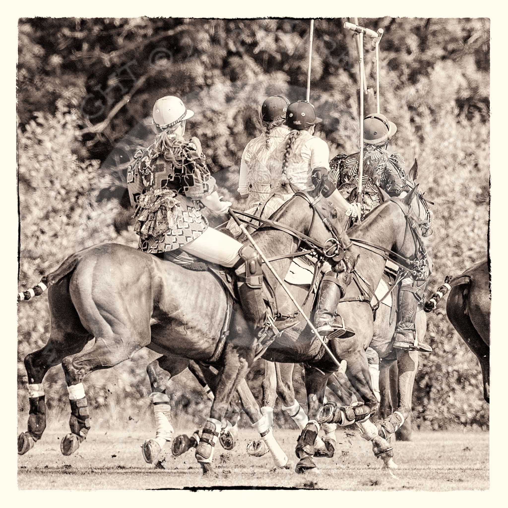 7th Heritage Polo Cup finals: Africa challenging the Amazons of Polo with Erin Jones from South Africa in the back..
Hurtwood Park Polo Club,
Ewhurst Green,
Surrey,
United Kingdom,
on 05 August 2012 at 15:46, image #193