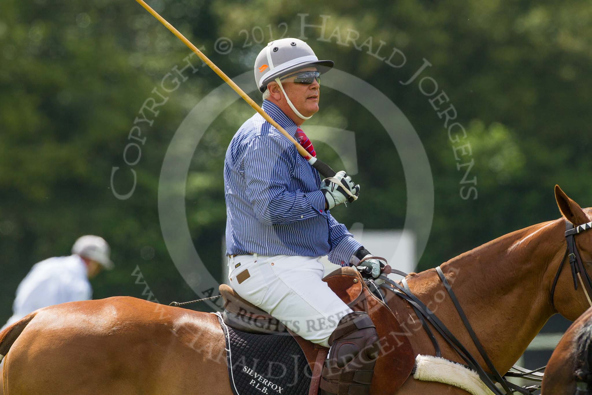 7th Heritage Polo Cup finals: Silver Fox USA Polo Patron Parke Bradley..
Hurtwood Park Polo Club,
Ewhurst Green,
Surrey,
United Kingdom,
on 05 August 2012 at 13:15, image #10