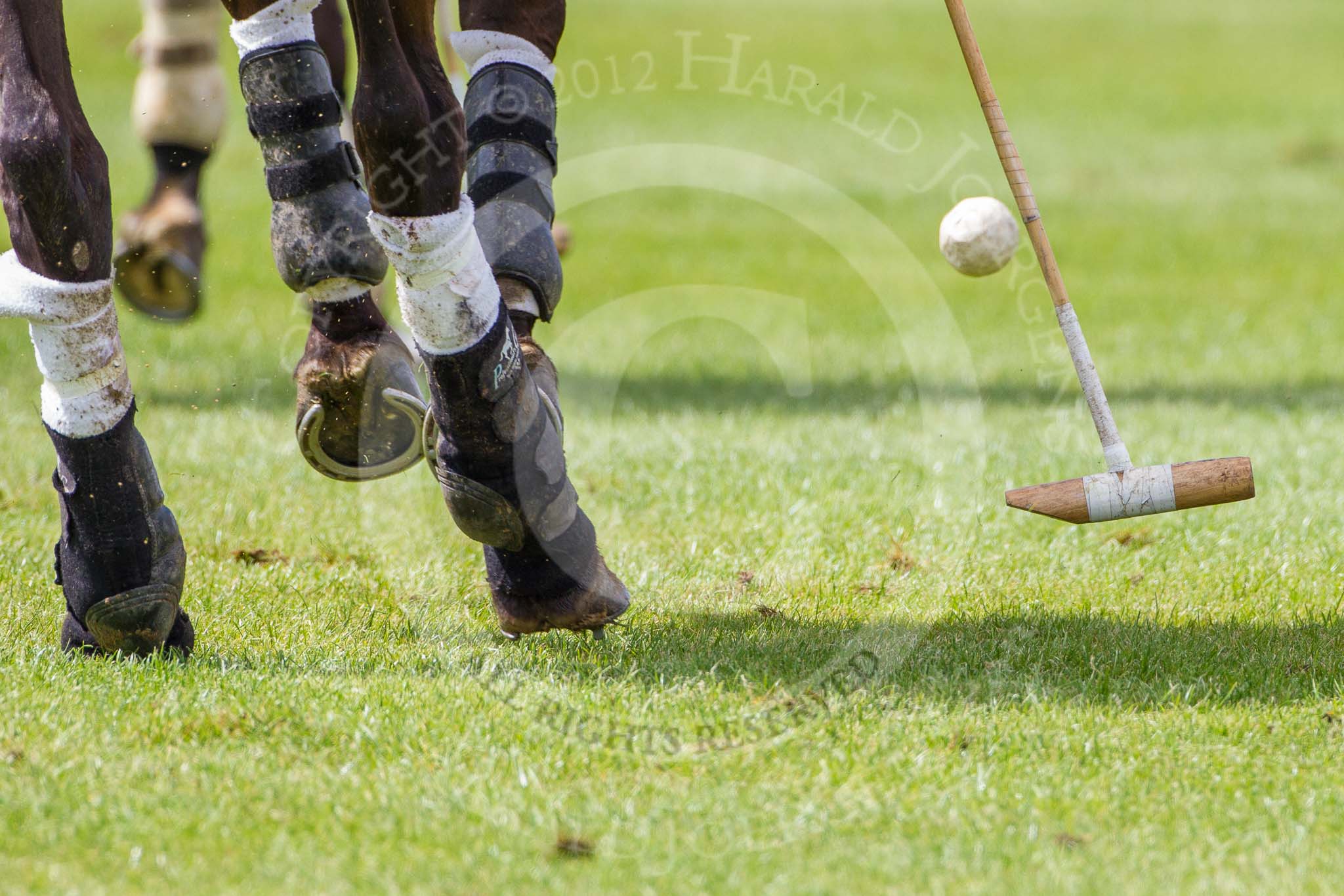 7th Heritage Polo Cup finals: HERITAGE POLO Horse Power..
Hurtwood Park Polo Club,
Ewhurst Green,
Surrey,
United Kingdom,
on 05 August 2012 at 13:37, image #34