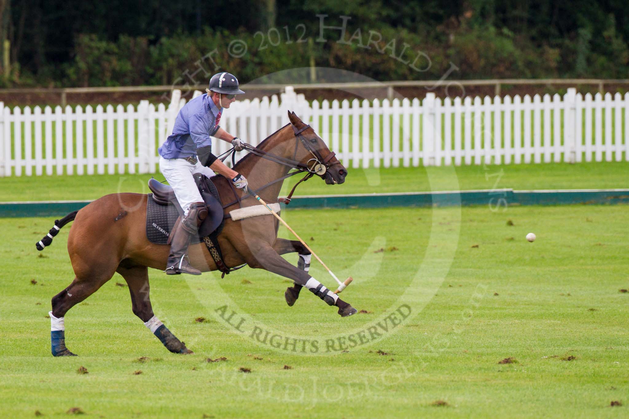 7th Heritage Polo Cup finals: Henry Fisher, Team Silver Fox USA..
Hurtwood Park Polo Club,
Ewhurst Green,
Surrey,
United Kingdom,
on 05 August 2012 at 13:39, image #38