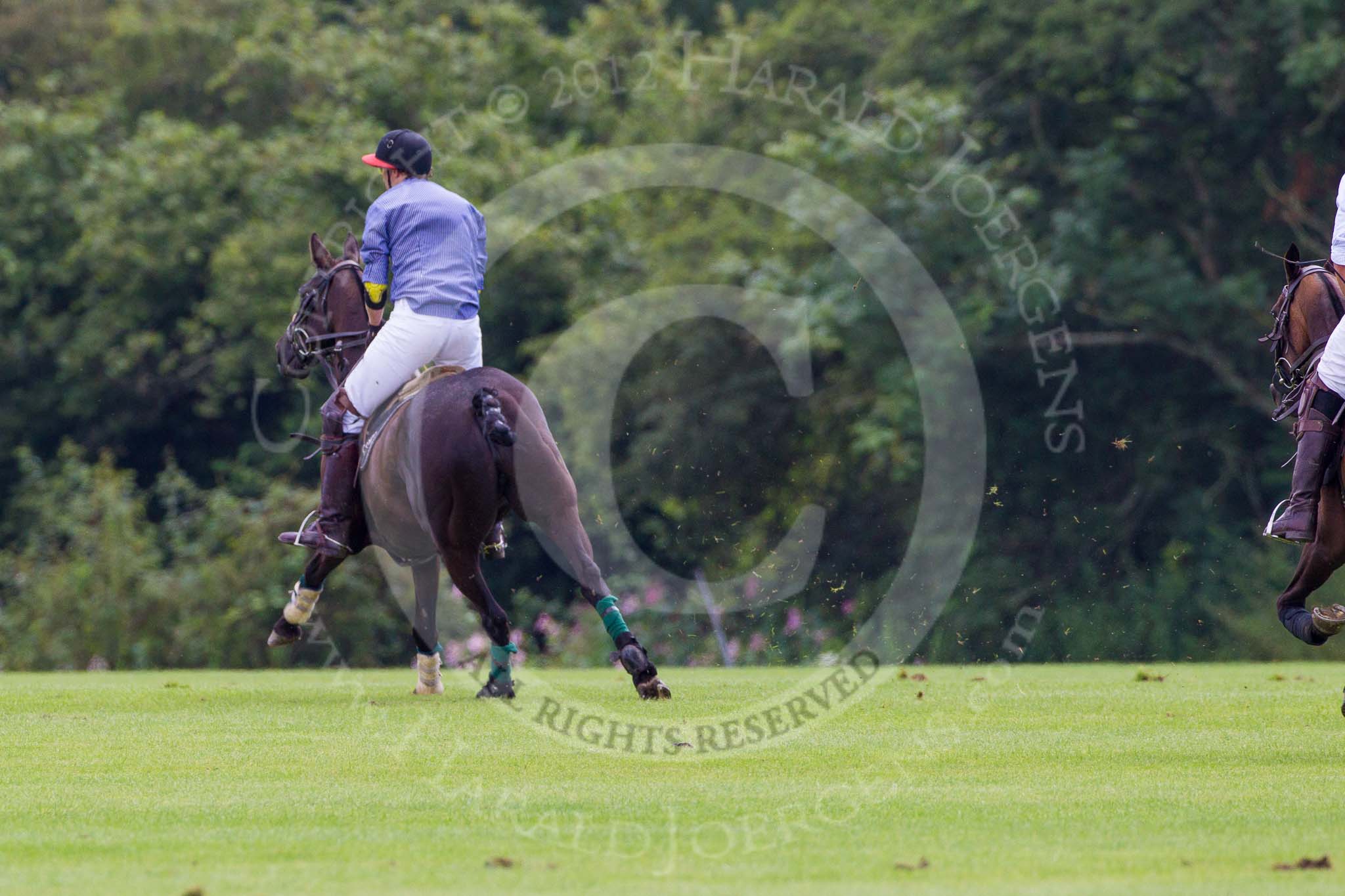 7th Heritage Polo Cup finals: James Rome, Team Silver Fox USA..
Hurtwood Park Polo Club,
Ewhurst Green,
Surrey,
United Kingdom,
on 05 August 2012 at 13:40, image #40