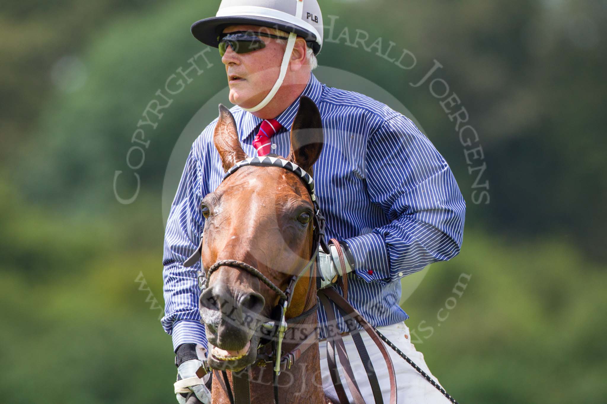 7th Heritage Polo Cup finals: Parke Bradley, Team Silverfox USA..
Hurtwood Park Polo Club,
Ewhurst Green,
Surrey,
United Kingdom,
on 05 August 2012 at 13:41, image #45