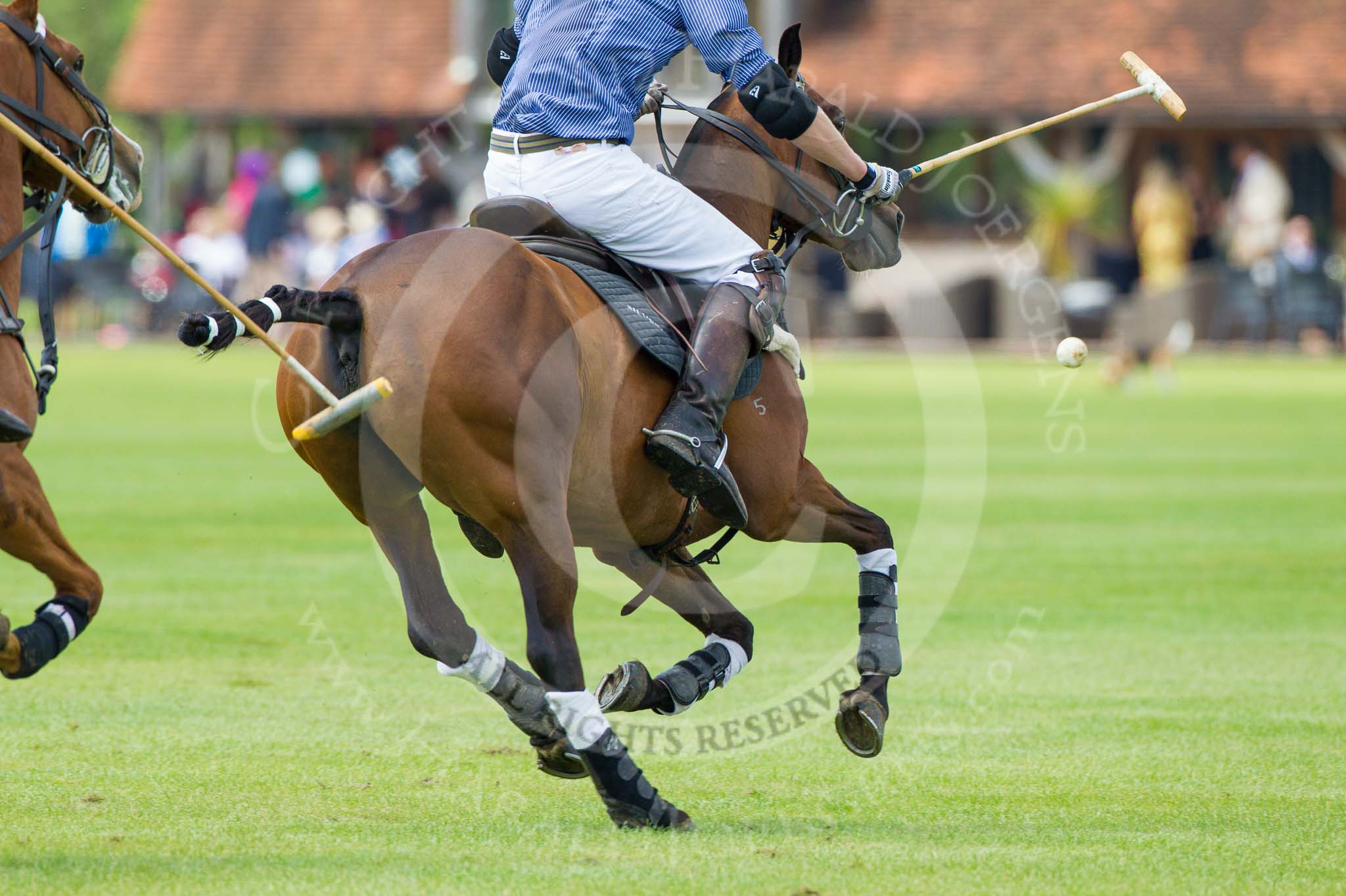 7th Heritage Polo Cup finals: Henry Fisher, Team Silver Fox USA, heading towards goal..
Hurtwood Park Polo Club,
Ewhurst Green,
Surrey,
United Kingdom,
on 05 August 2012 at 13:51, image #48