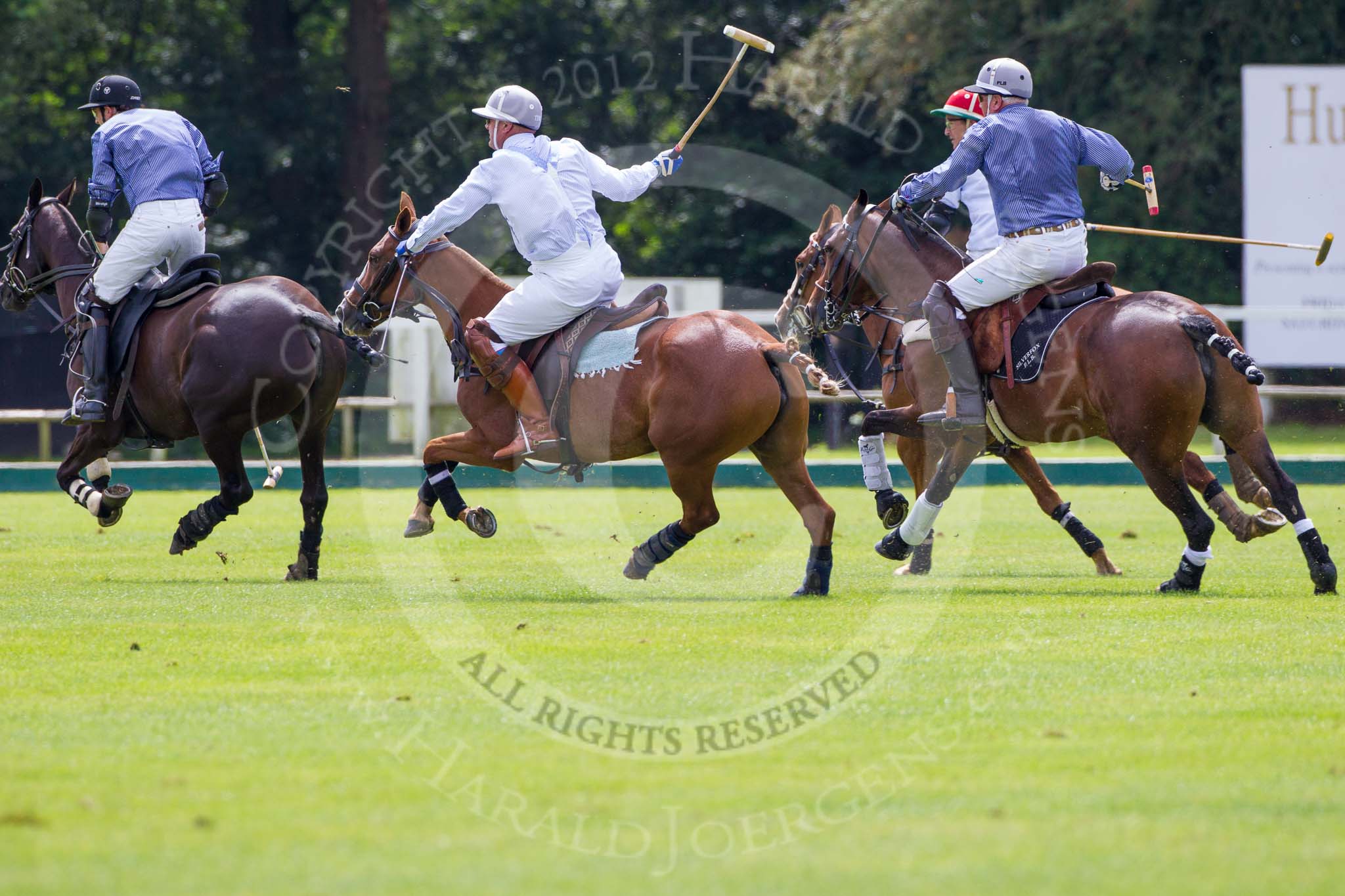 7th Heritage Polo Cup finals: Timothy Rose following the game..
Hurtwood Park Polo Club,
Ewhurst Green,
Surrey,
United Kingdom,
on 05 August 2012 at 13:51, image #52