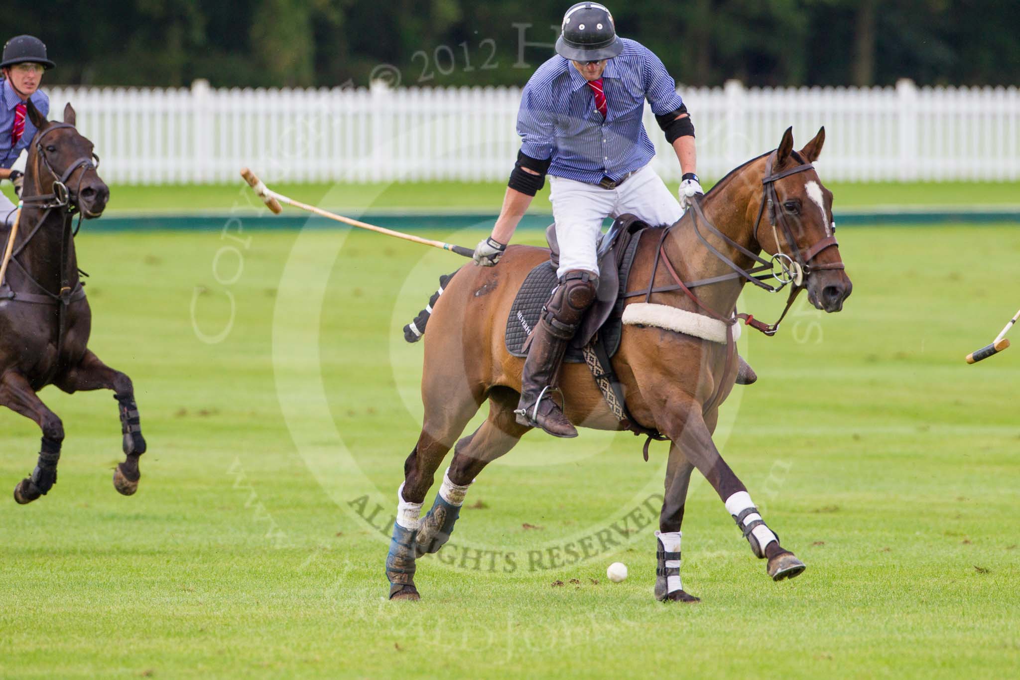 7th Heritage Polo Cup finals: Henry Fisher, Team Silver Fox USA..
Hurtwood Park Polo Club,
Ewhurst Green,
Surrey,
United Kingdom,
on 05 August 2012 at 13:57, image #54