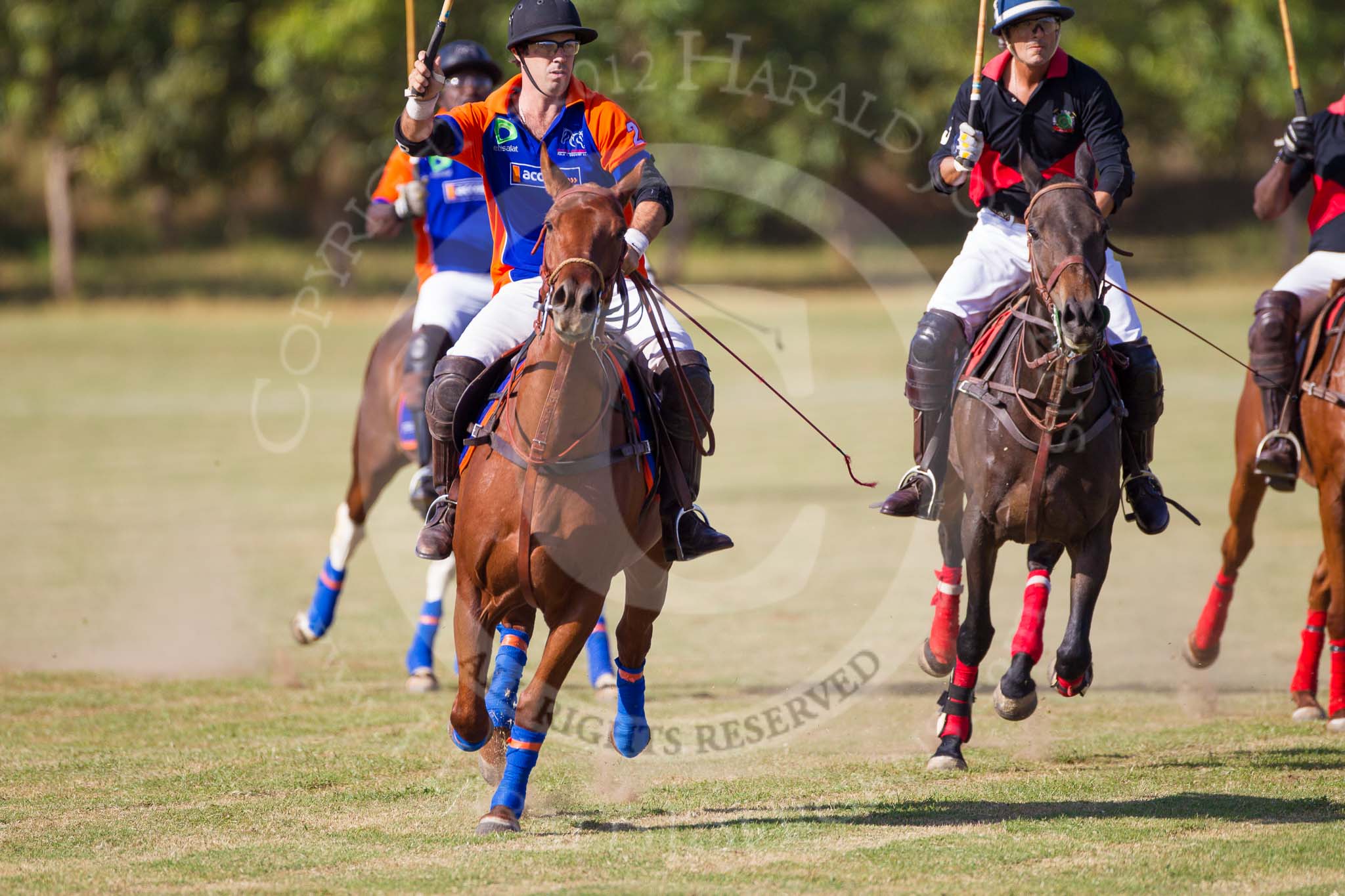 African Patrons Cup 2012 (Friday): Match Access Bank Fifth Chukker v Keffi Ponies: Pedro Fernandez Llorente, Pepe Araya and Ibrahim 'Rambo' Mohammed on the very right..
Fifth Chukker Polo & Country Club,
Kaduna,
Kaduna State,
Nigeria,
on 02 November 2012 at 15:40, image #29