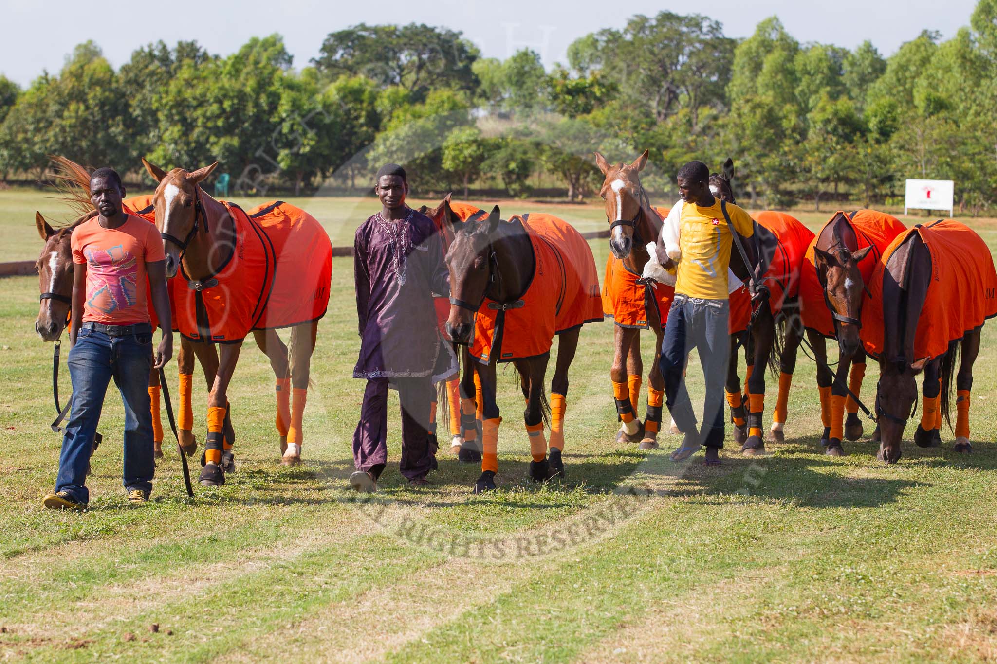 African Patrons Cup 2012, Semi-Finals.
Fifth Chukker Polo & Country Club,
Kaduna,
Kaduna State,
Nigeria,
on 03 November 2012 at 15:30, image #9