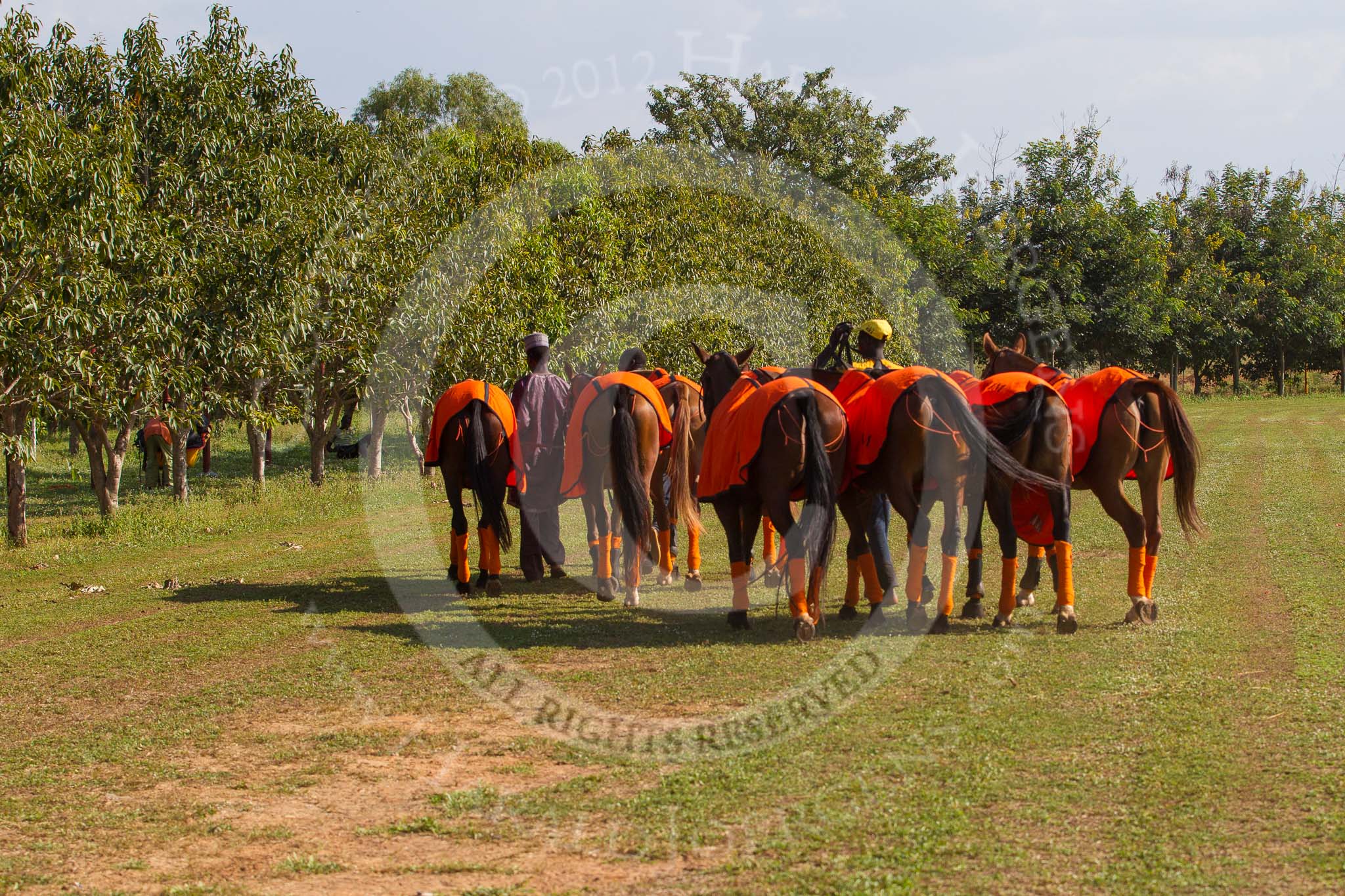 African Patrons Cup 2012, Semi-Finals.
Fifth Chukker Polo & Country Club,
Kaduna,
Kaduna State,
Nigeria,
on 03 November 2012 at 15:30, image #10