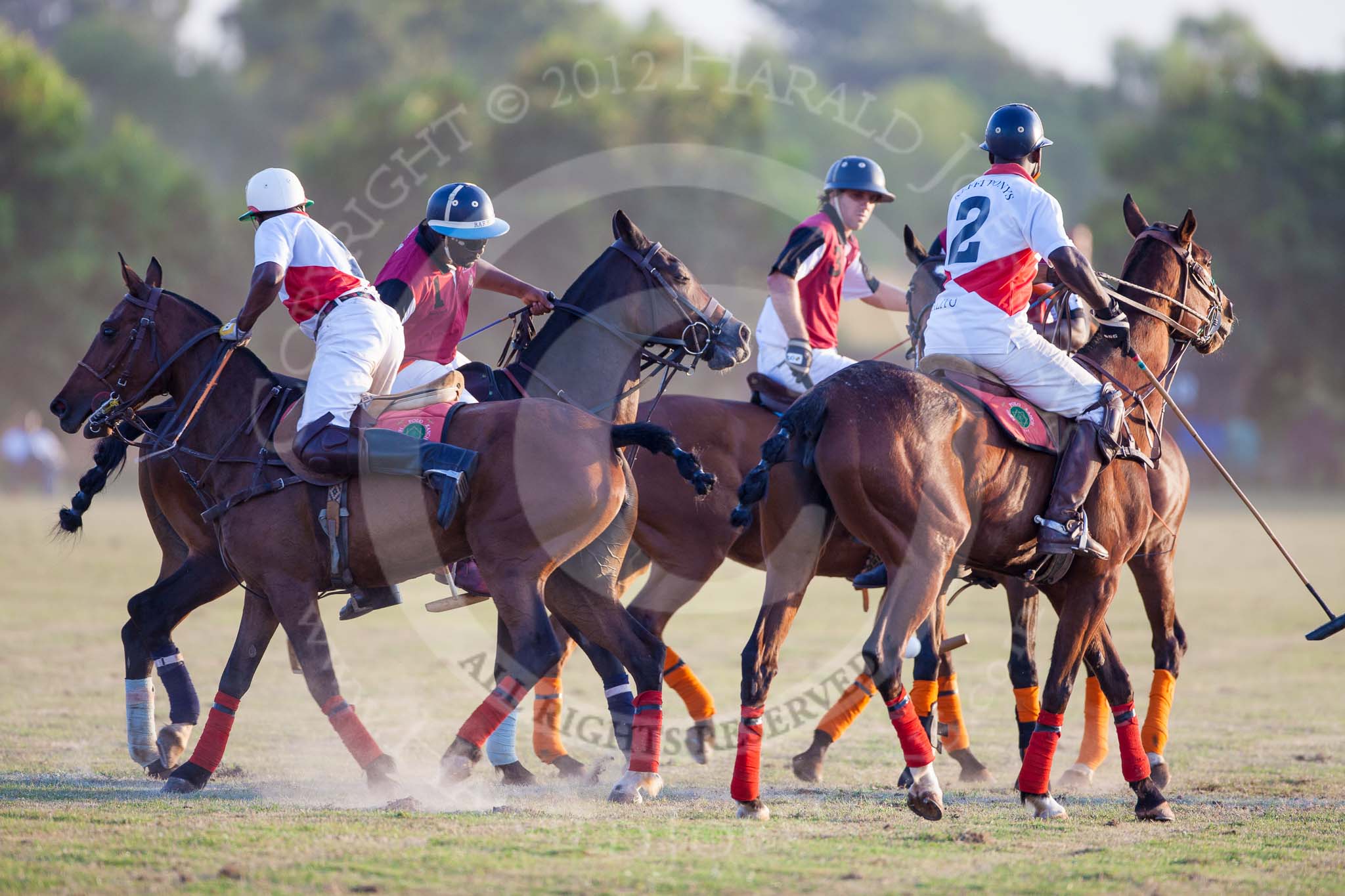 African Patrons Cup 2012, Semi-Finals.
Fifth Chukker Polo & Country Club,
Kaduna,
Kaduna State,
Nigeria,
on 03 November 2012 at 17:29, image #74