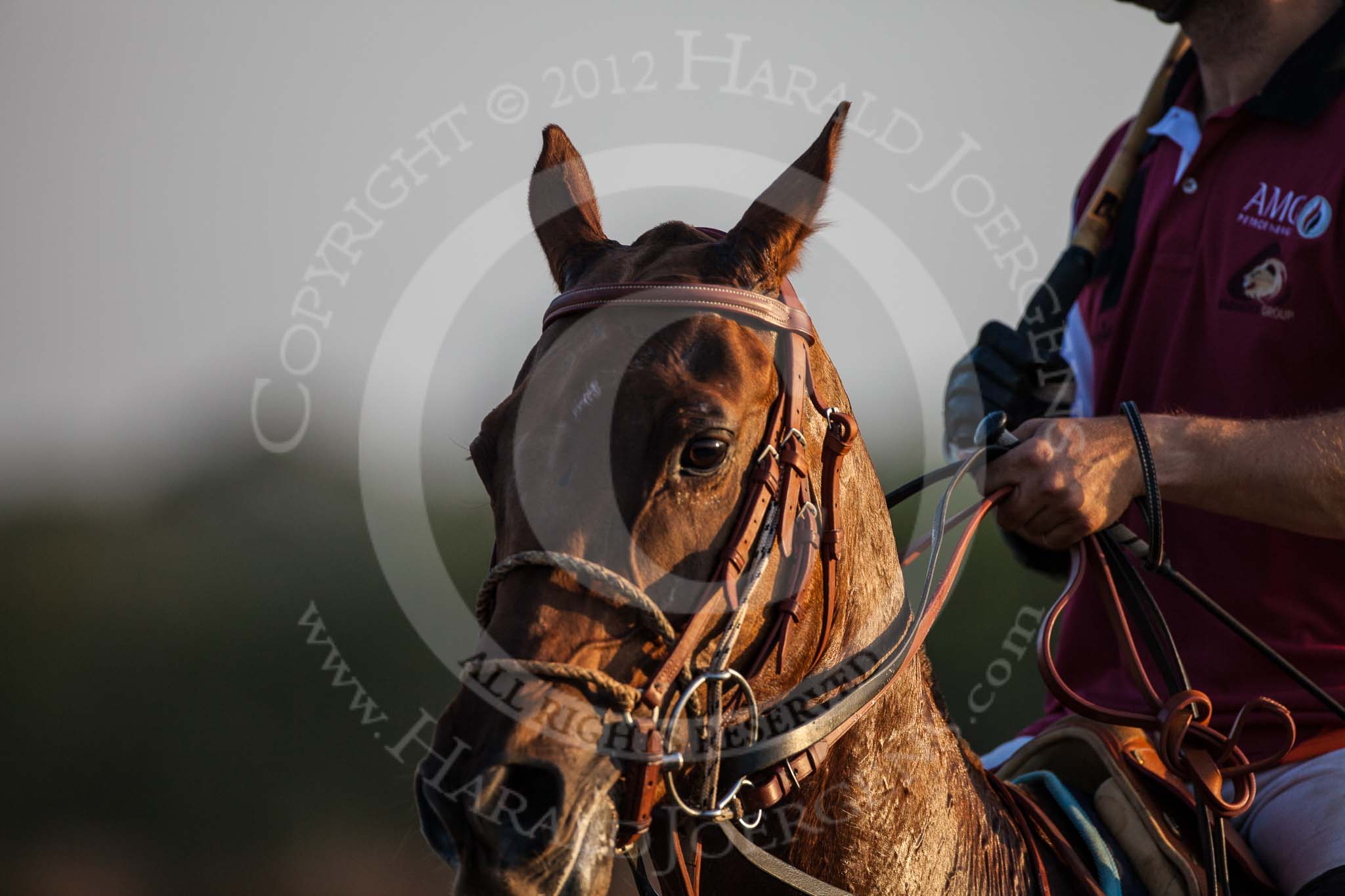 African Patrons Cup 2012, Semi-Finals.
Fifth Chukker Polo & Country Club,
Kaduna,
Kaduna State,
Nigeria,
on 03 November 2012 at 17:32, image #77