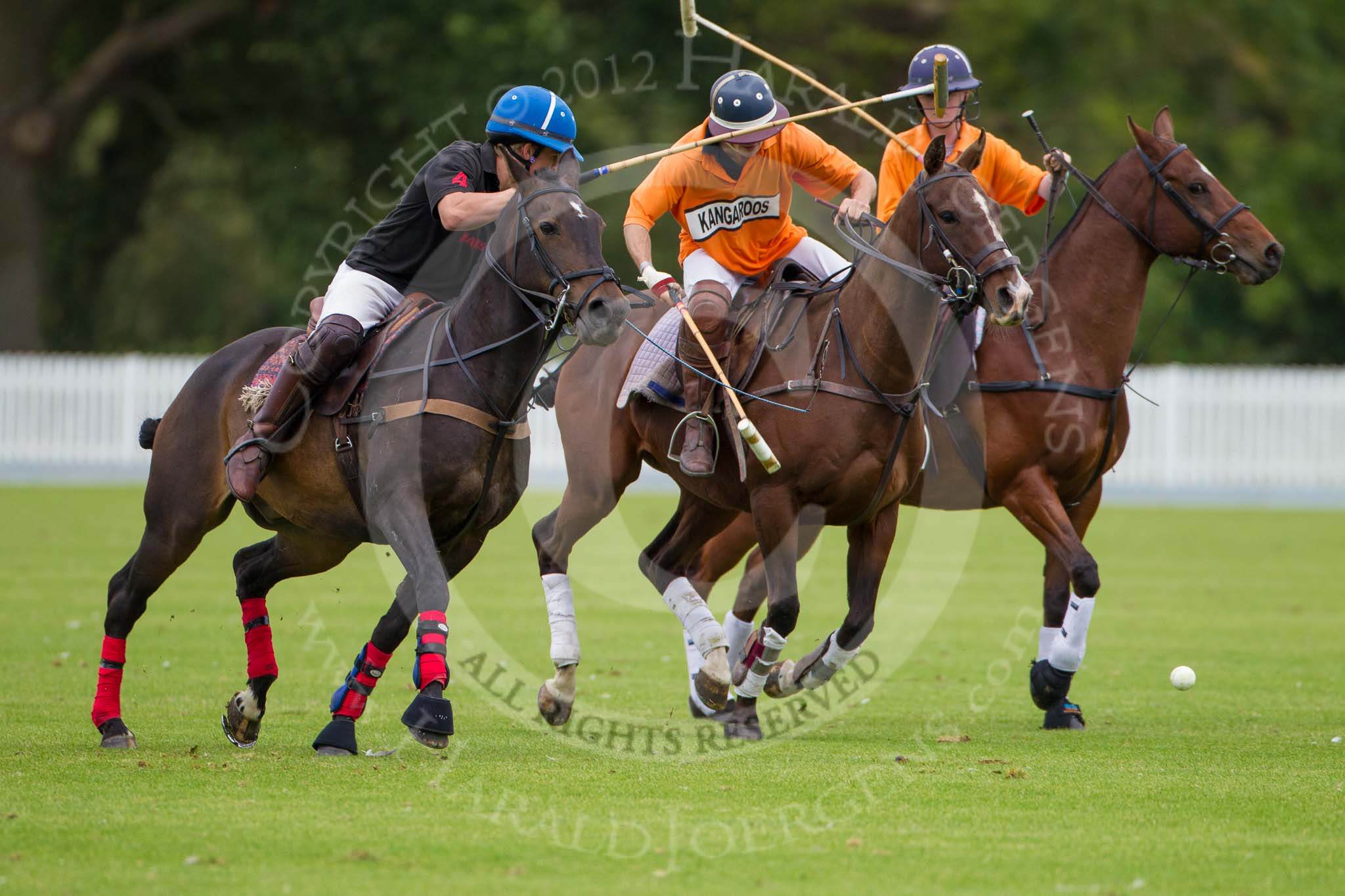 DBPC Polo in the Park 2012: Ed Foster (Marston), Del Kang and Amy Harper (both Kangaroos)..
Dallas Burston Polo Club,
Stoneythorpe Estate,
Southam,
Warwickshire,
United Kingdom,
on 16 September 2012 at 10:15, image #36