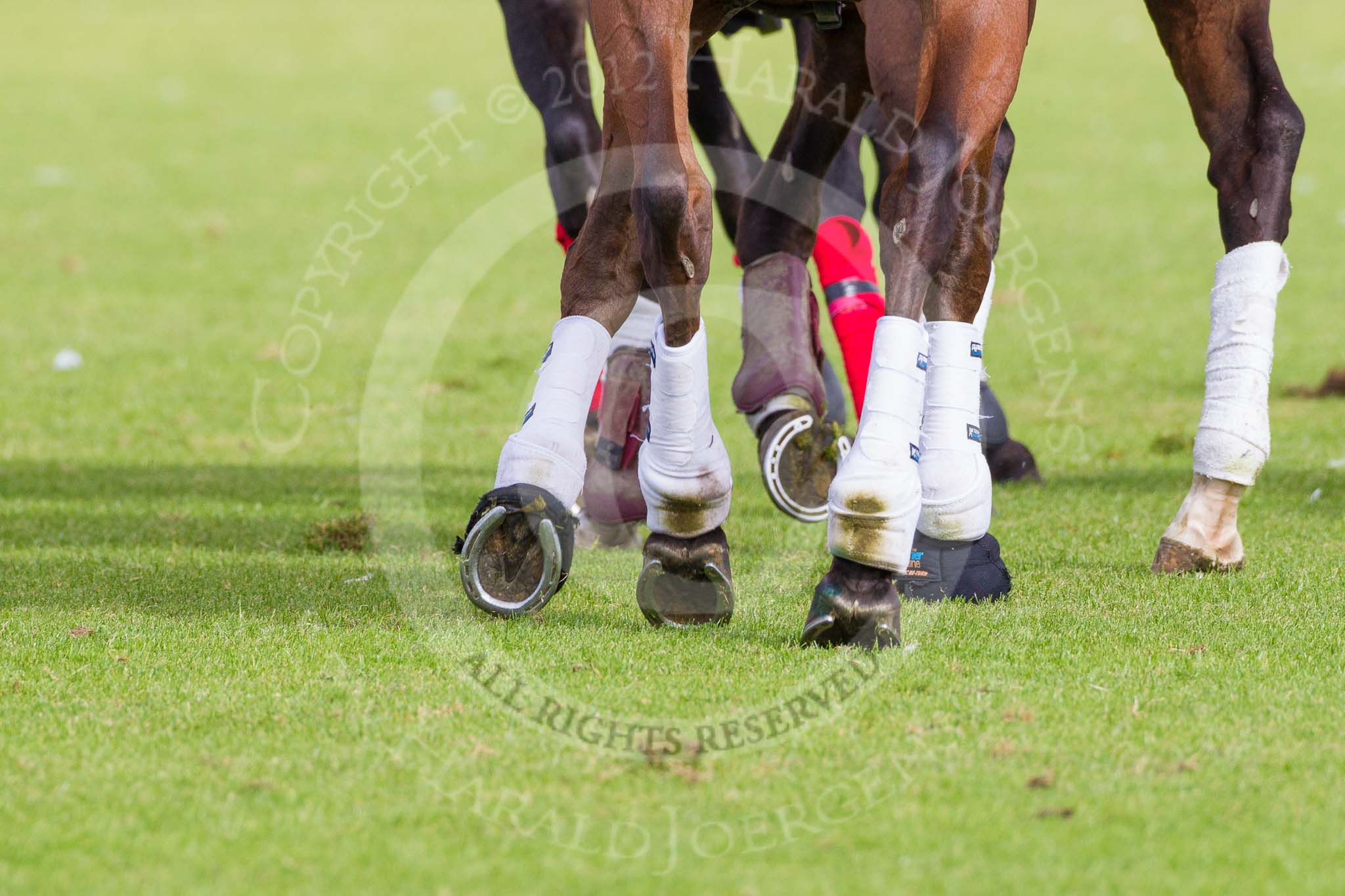 DBPC Polo in the Park 2012.
Dallas Burston Polo Club,
Stoneythorpe Estate,
Southam,
Warwickshire,
United Kingdom,
on 16 September 2012 at 10:49, image #59