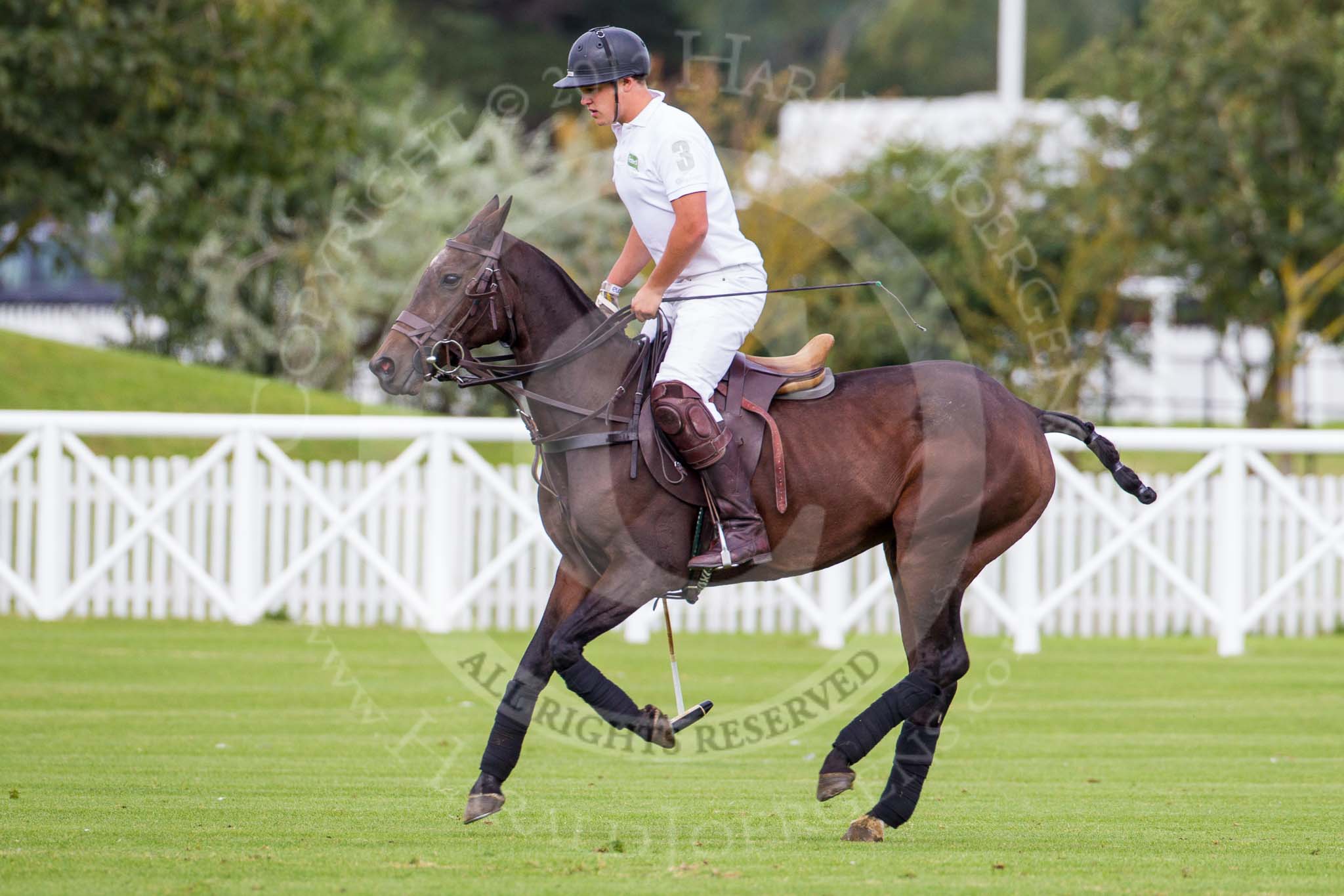 DBPC Polo in the Park 2012: Rated People Polo Team #3, Alex Vent..
Dallas Burston Polo Club,
Stoneythorpe Estate,
Southam,
Warwickshire,
United Kingdom,
on 16 September 2012 at 11:12, image #71