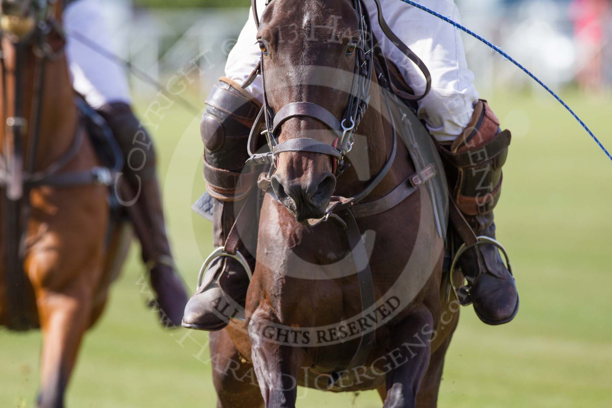 DBPC Polo in the Park 2013, Subsidiary Final Amaranther Trophy (0 Goal), Leadenham vs Kingsbridge.
Dallas Burston Polo Club, ,
Southam,
Warwickshire,
United Kingdom,
on 01 September 2013 at 10:43, image #55