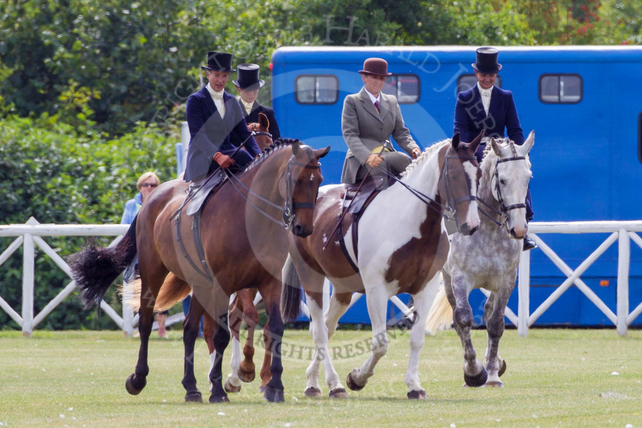 DBPC Polo in the Park 2013, side saddle riding demonstration by the The Side Saddle Association..
Dallas Burston Polo Club, ,
Southam,
Warwickshire,
United Kingdom,
on 01 September 2013 at 12:48, image #212