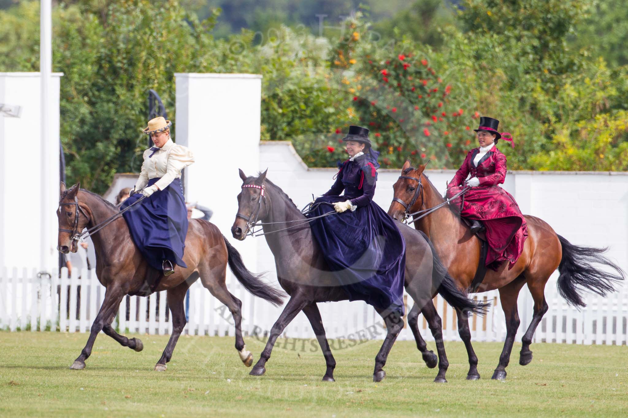 DBPC Polo in the Park 2013, side saddle riding demonstration by the The Side Saddle Association..
Dallas Burston Polo Club, ,
Southam,
Warwickshire,
United Kingdom,
on 01 September 2013 at 12:50, image #216