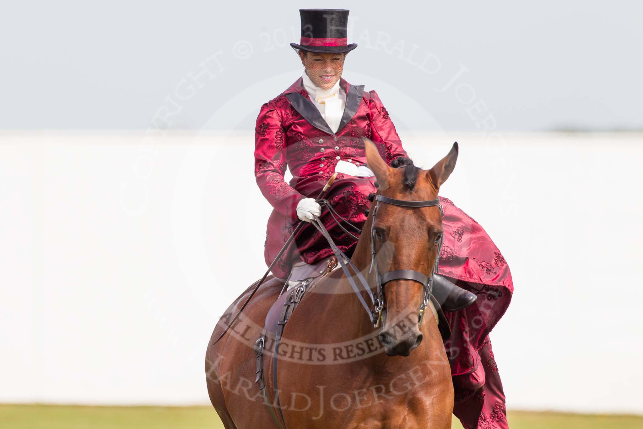 DBPC Polo in the Park 2013, side saddle riding demonstration by the The Side Saddle Association..
Dallas Burston Polo Club, ,
Southam,
Warwickshire,
United Kingdom,
on 01 September 2013 at 12:50, image #220