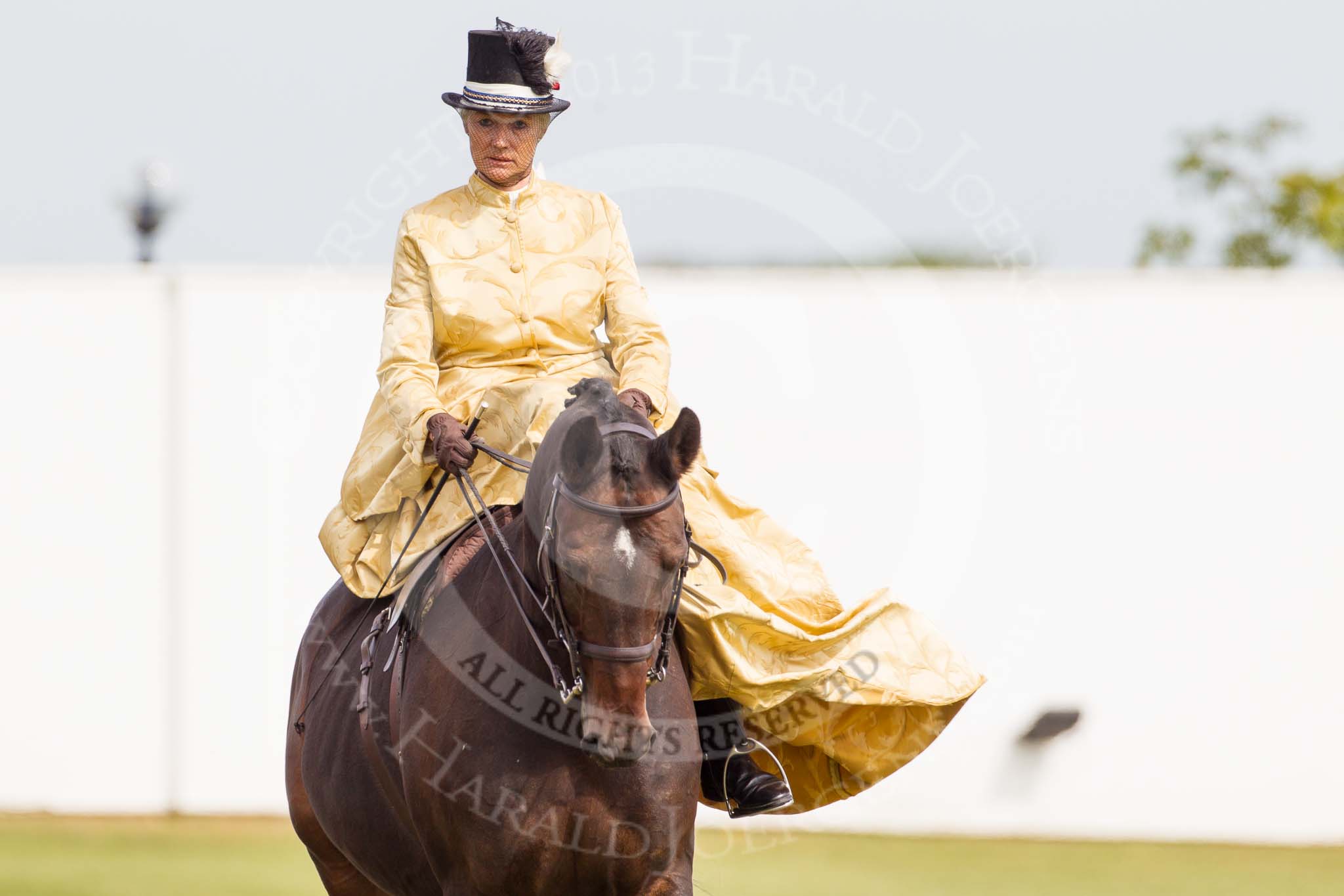 DBPC Polo in the Park 2013, side saddle riding demonstration by the The Side Saddle Association..
Dallas Burston Polo Club, ,
Southam,
Warwickshire,
United Kingdom,
on 01 September 2013 at 12:51, image #222