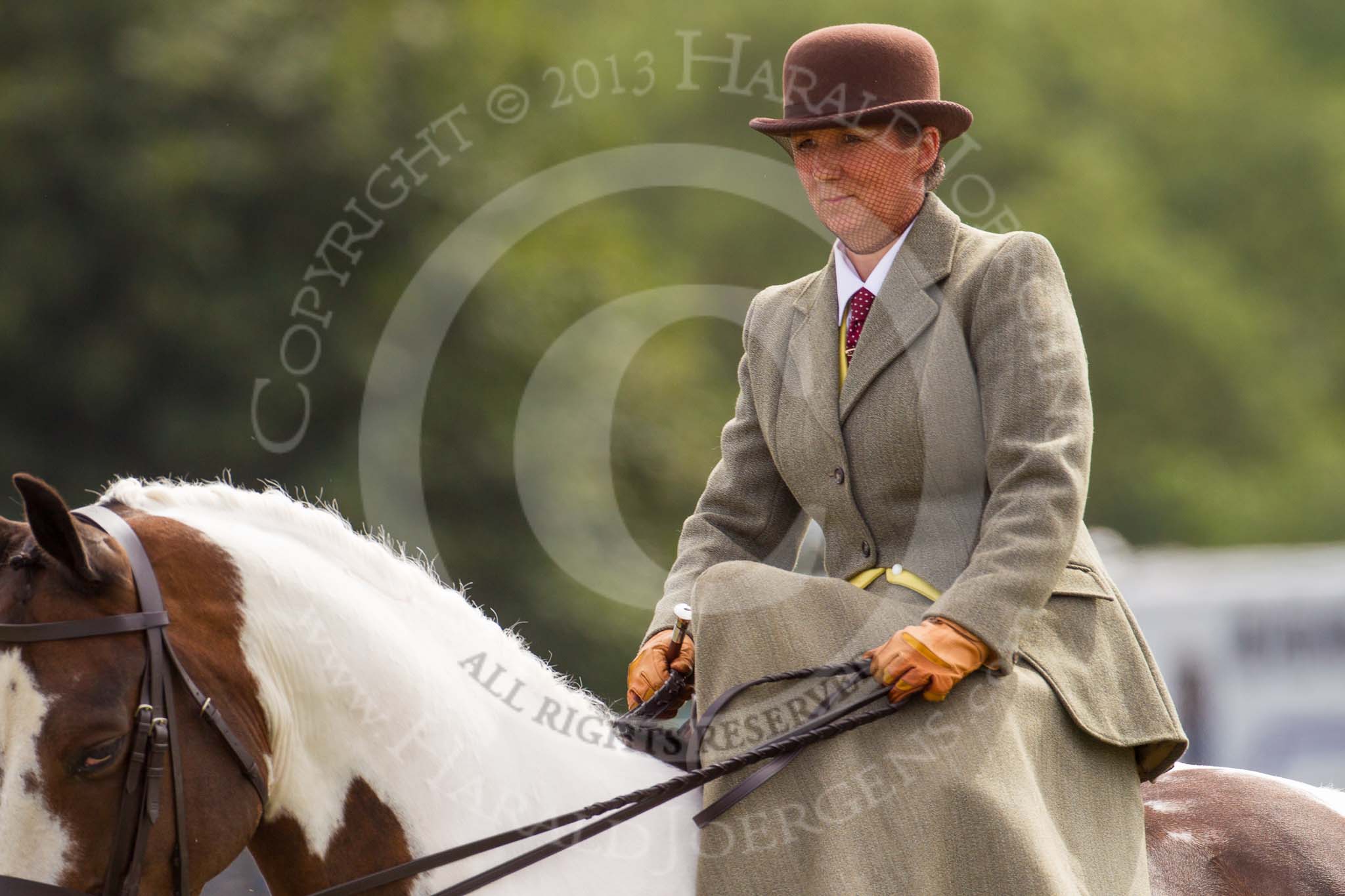 DBPC Polo in the Park 2013, side saddle riding demonstration by the The Side Saddle Association..
Dallas Burston Polo Club, ,
Southam,
Warwickshire,
United Kingdom,
on 01 September 2013 at 12:52, image #231