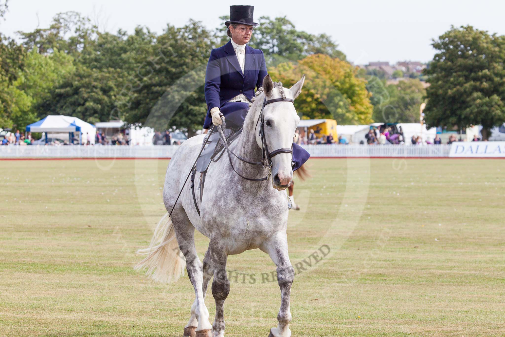 DBPC Polo in the Park 2013, side saddle riding demonstration by the The Side Saddle Association..
Dallas Burston Polo Club, ,
Southam,
Warwickshire,
United Kingdom,
on 01 September 2013 at 12:53, image #240