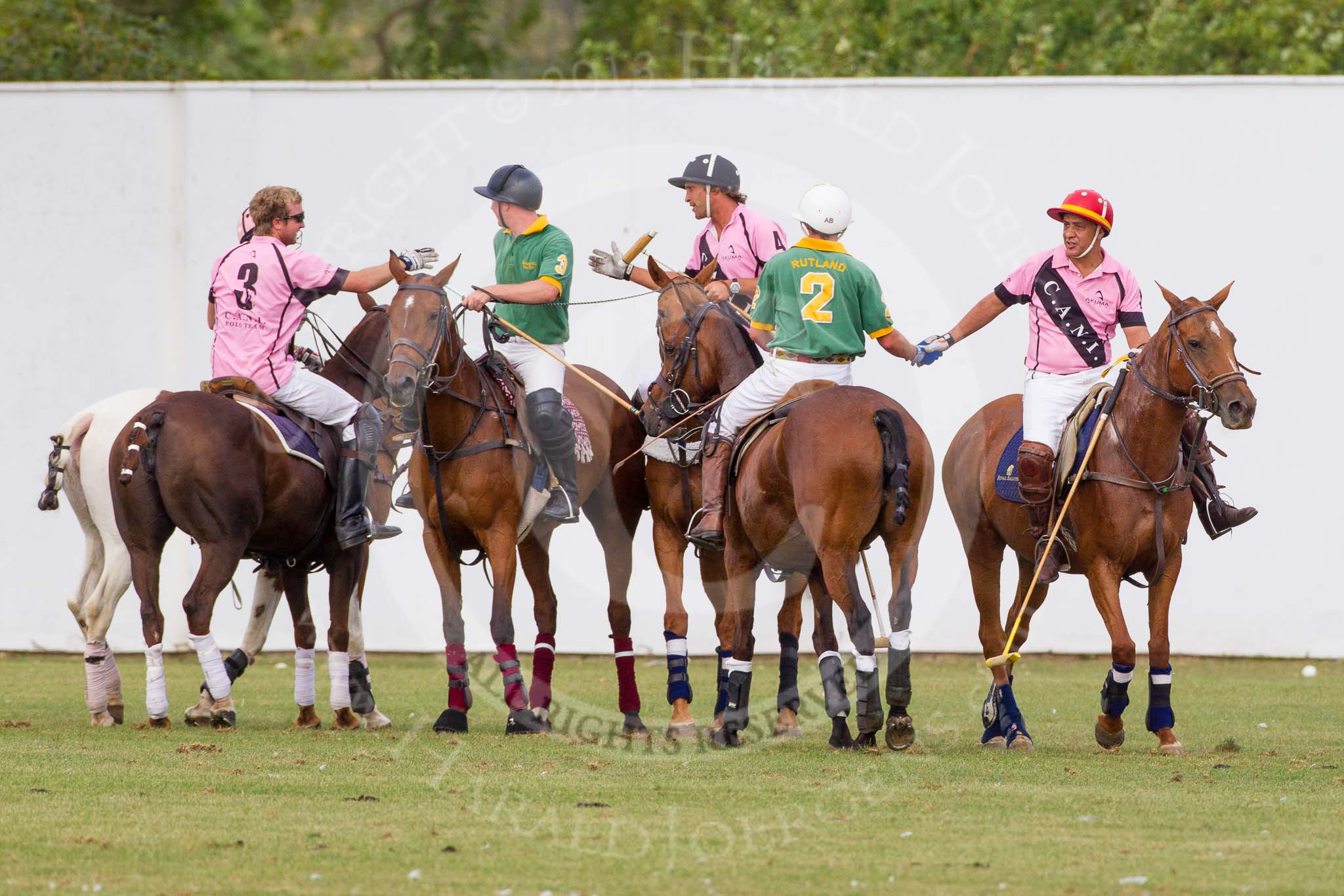 DBPC Polo in the Park 2013, Final of the Tusk Trophy (4 Goals), Rutland vs C.A.N.I..
Dallas Burston Polo Club, ,
Southam,
Warwickshire,
United Kingdom,
on 01 September 2013 at 17:10, image #645